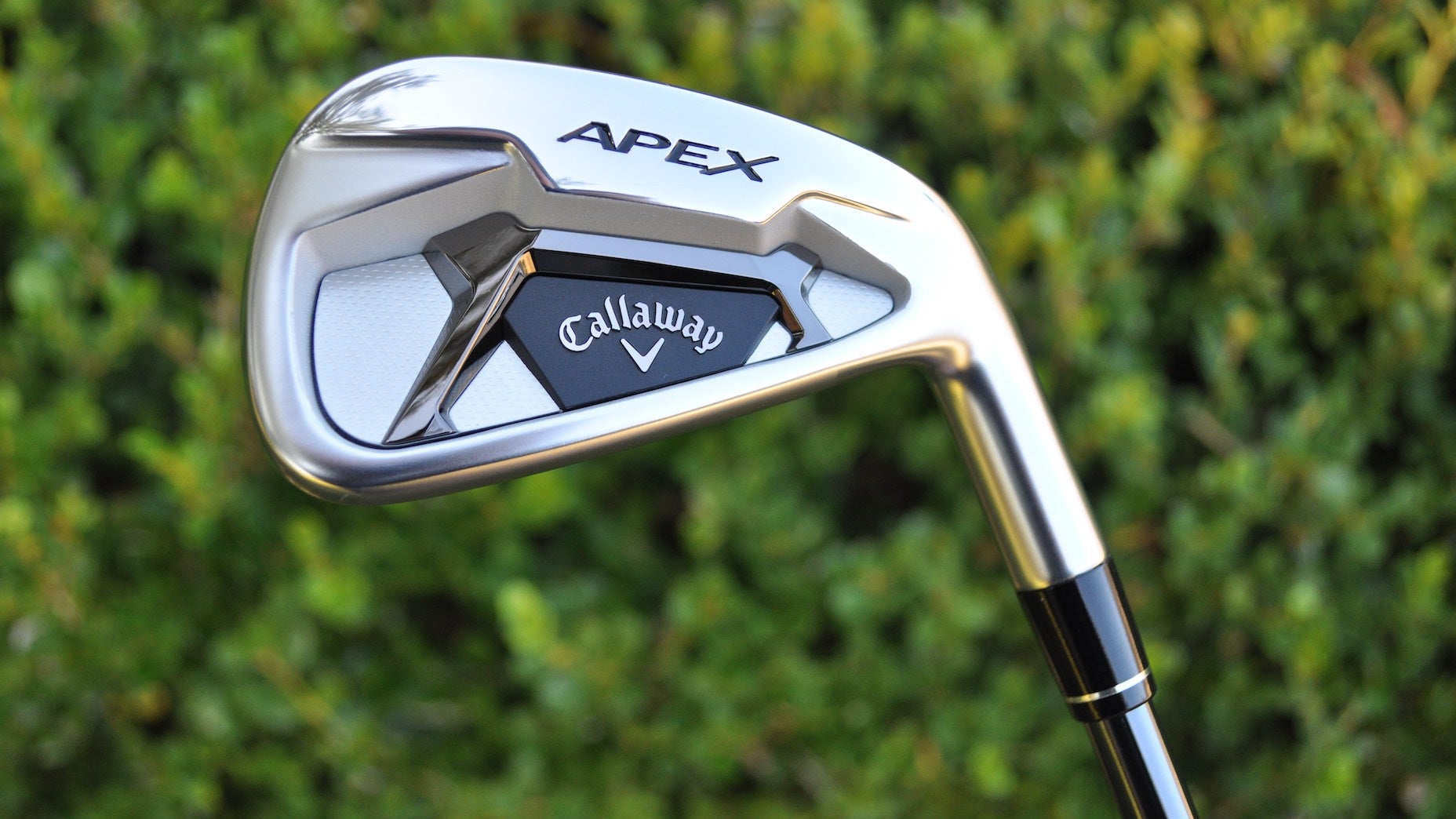 apex irons