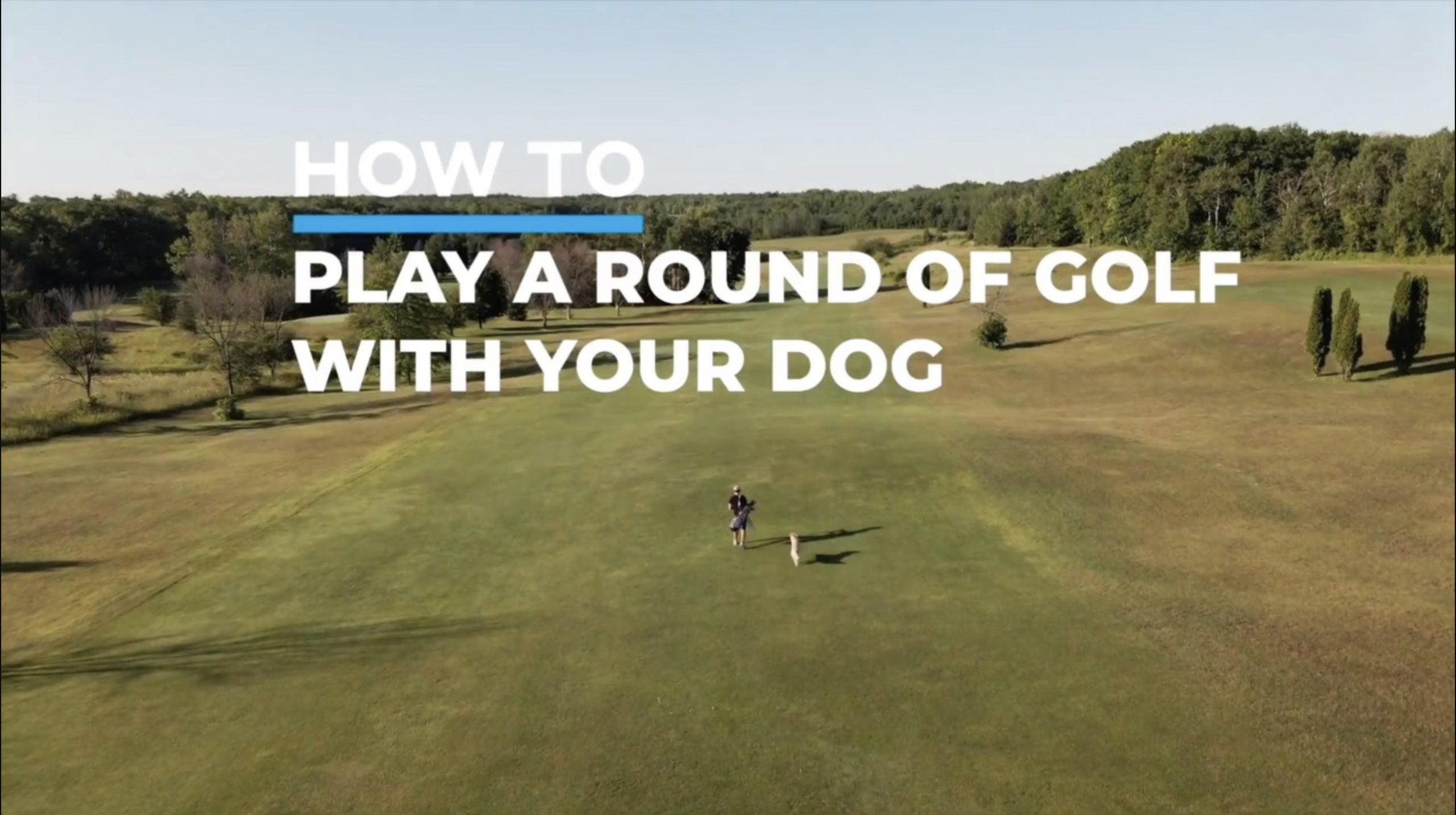 How to Play a Round with Your Dog