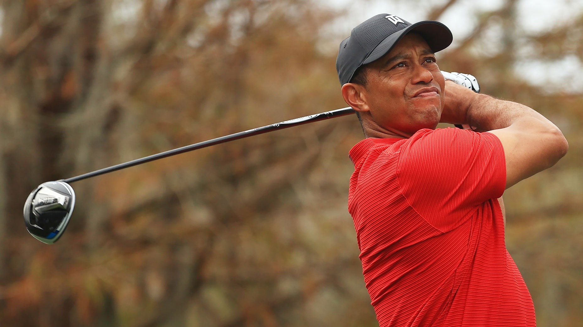 Tiger Woods