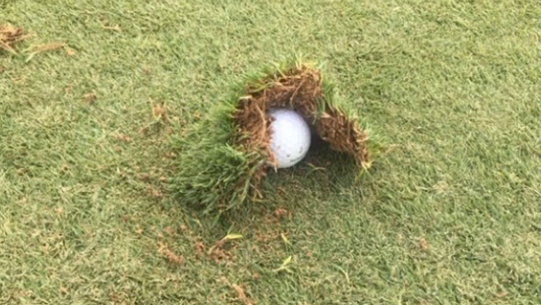 Jorge Campillo's ball