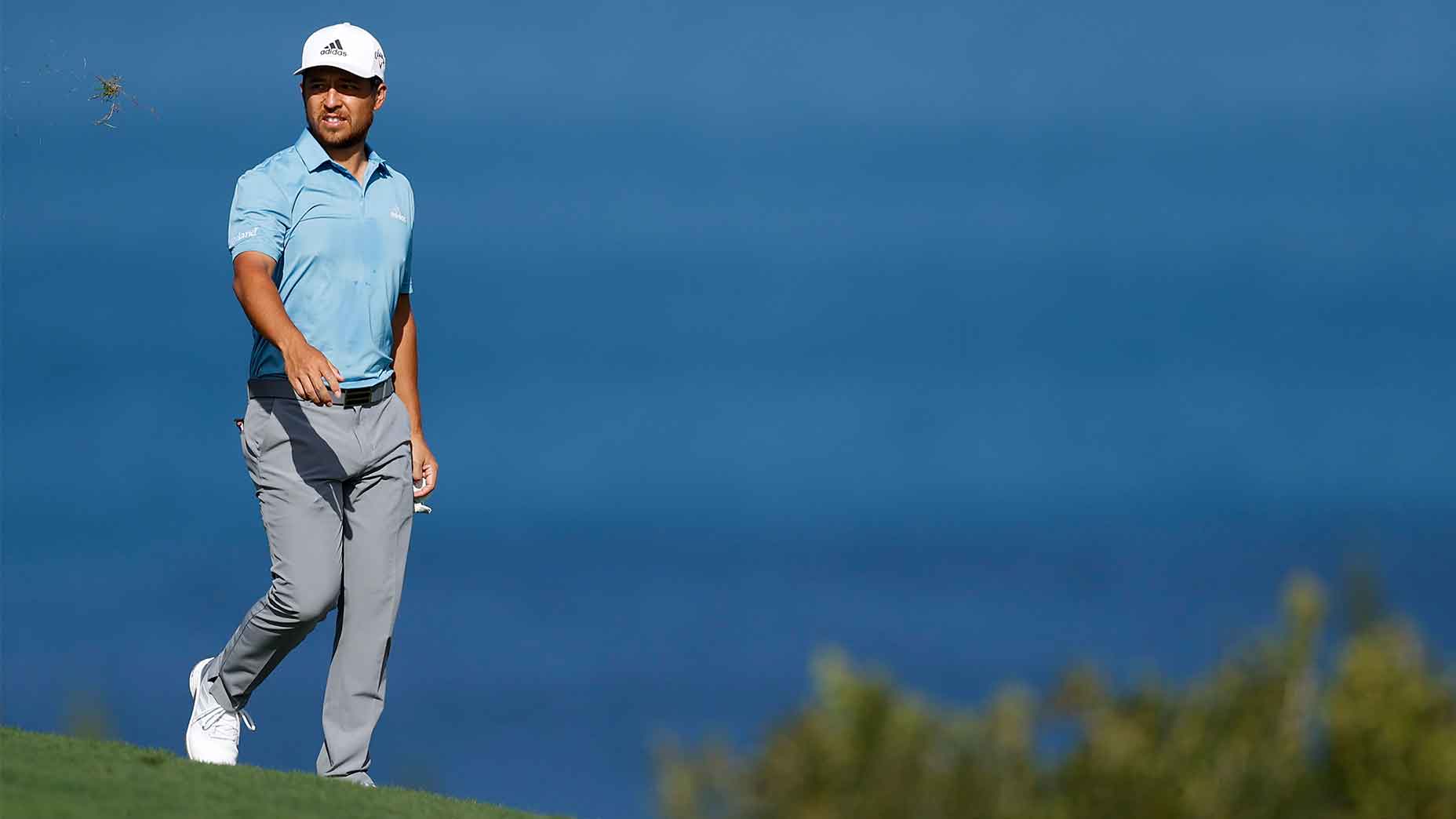 xander schauffele walks kapalua