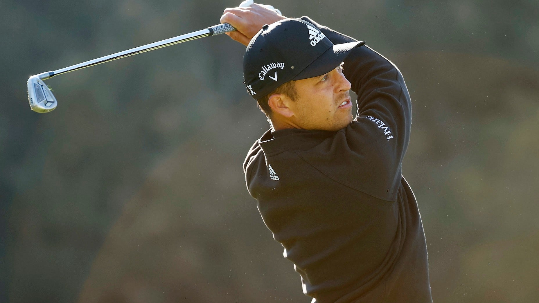 xander schauffele