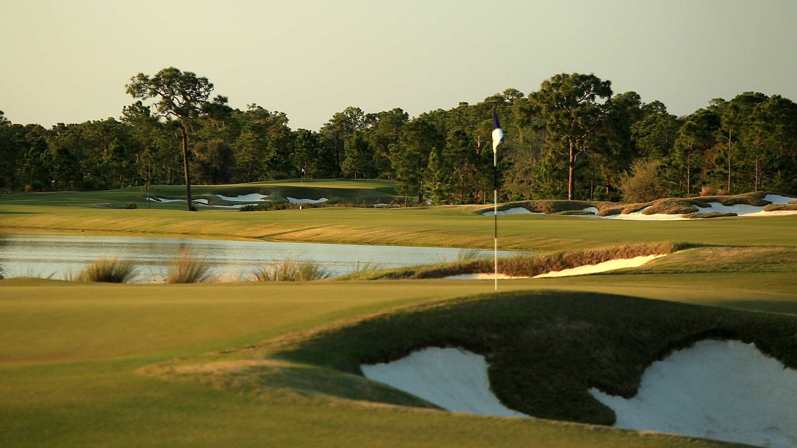 concession 12th hole