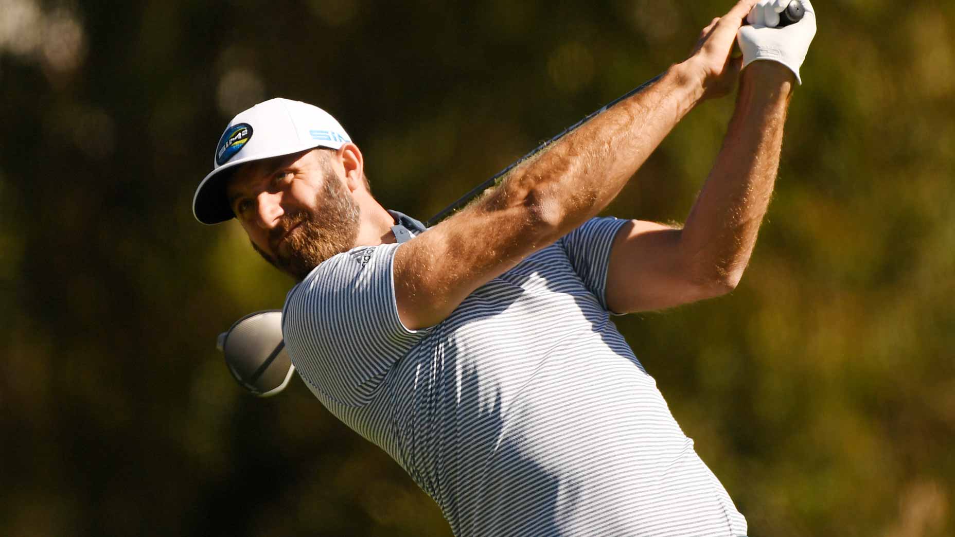 Dustin Johnson
