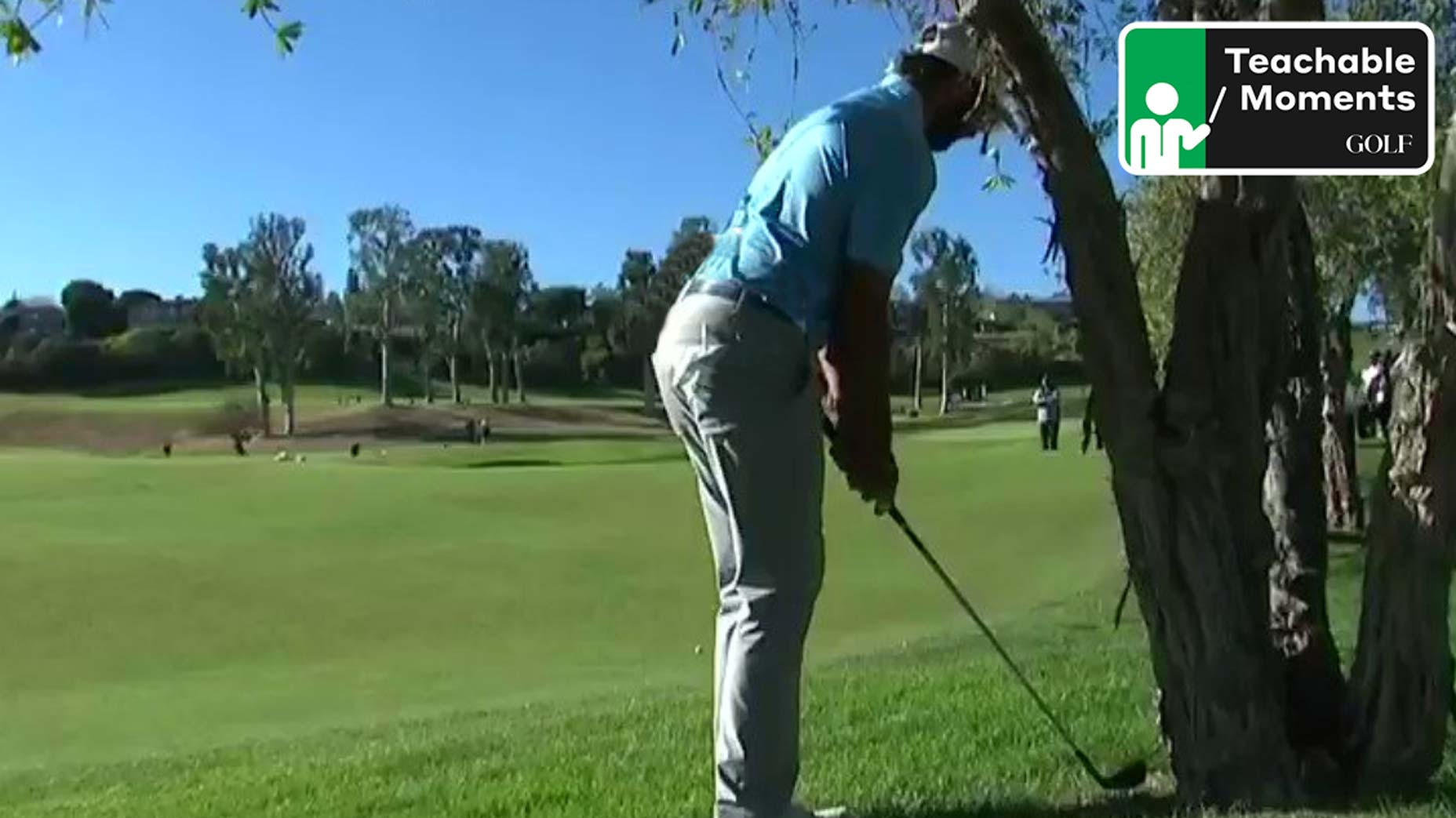 max homa hits shot against tree