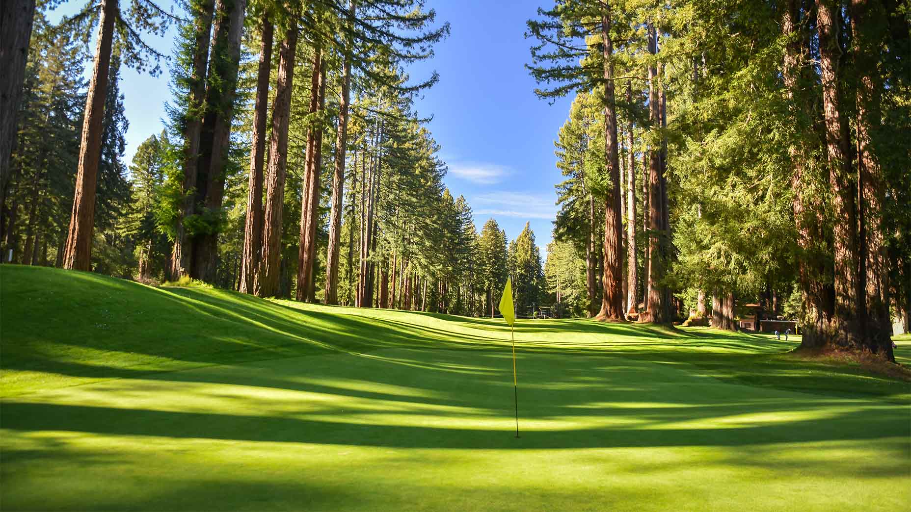 Why Northwood Golf Club is the best course you’ve never heard of