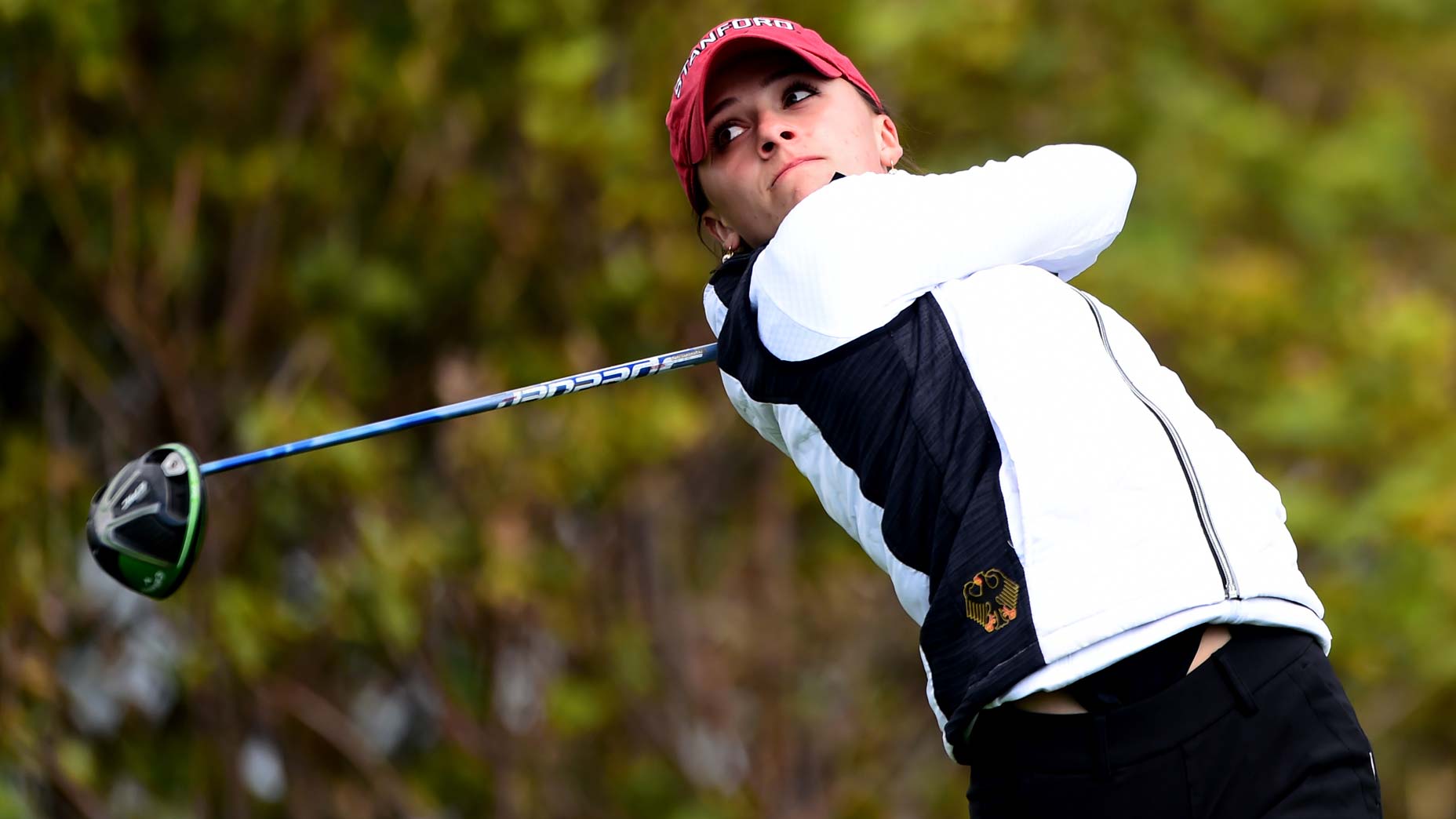 aline krauter swings