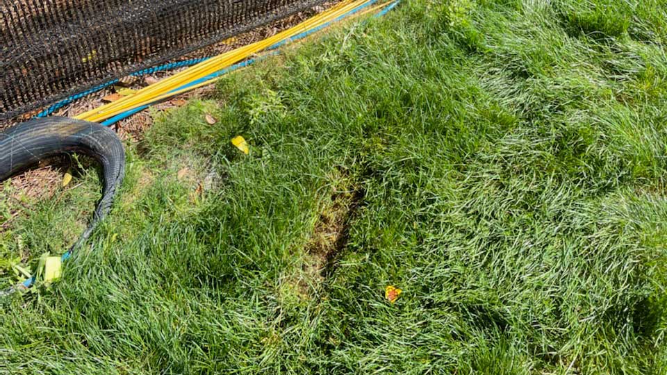 bryson's divot
