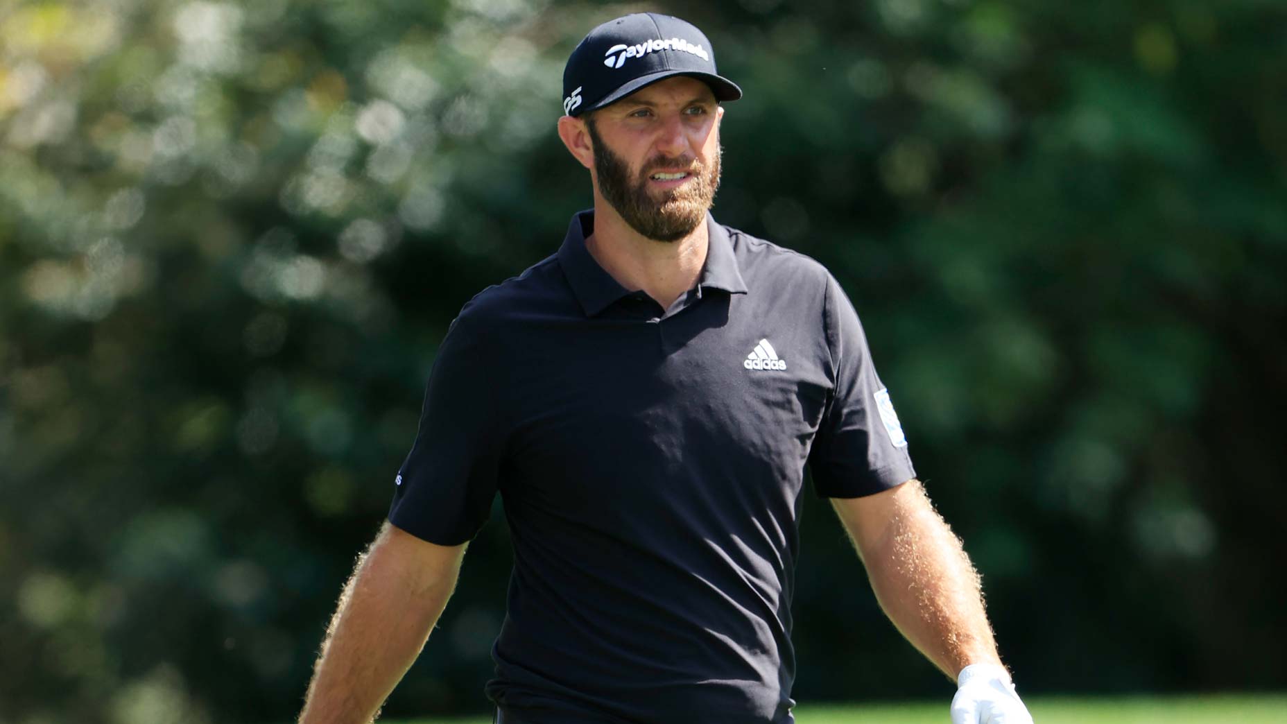 dustin johnson walks