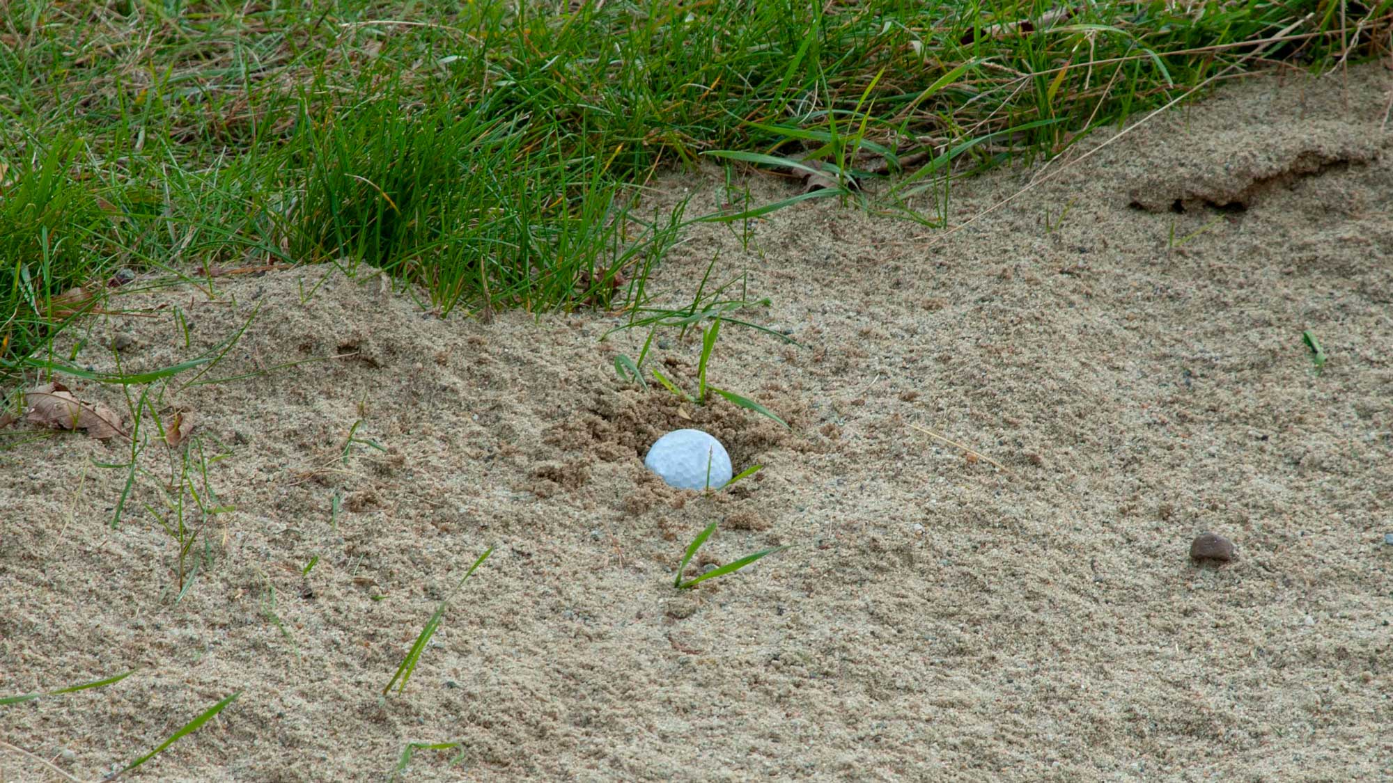 fried egg lie in bunker