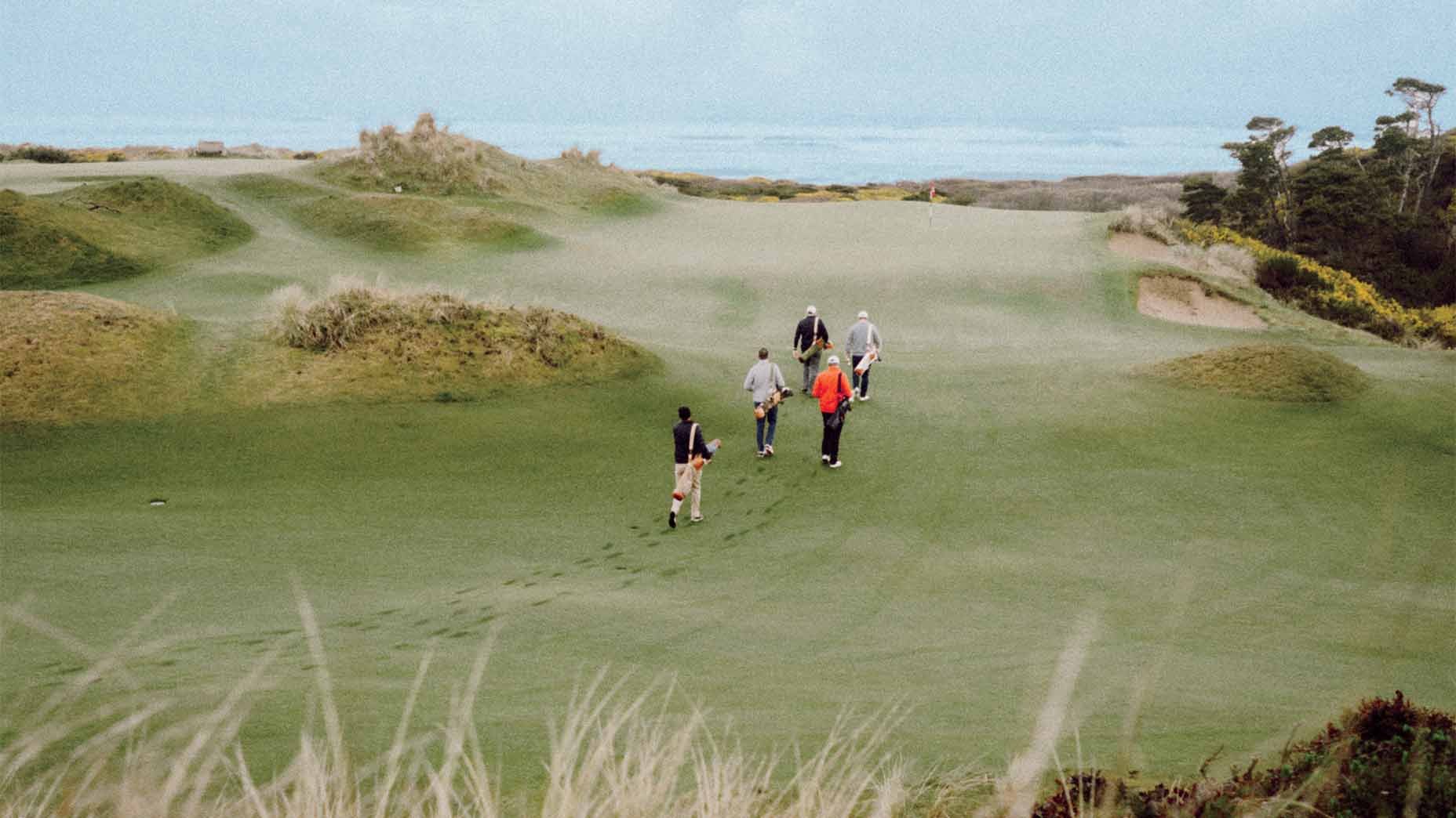 The Bandon Preserve.