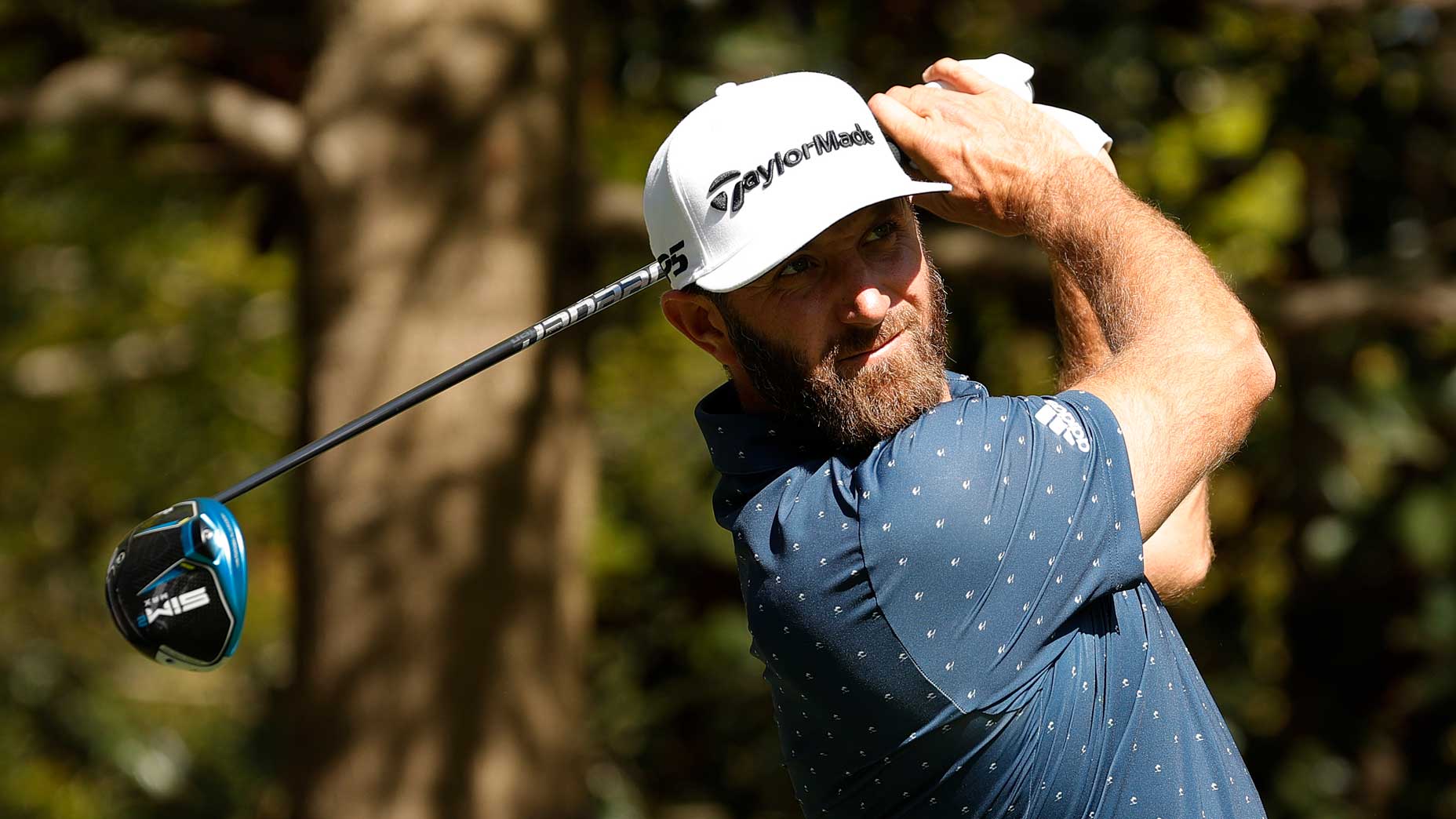 Dustin Johnson
