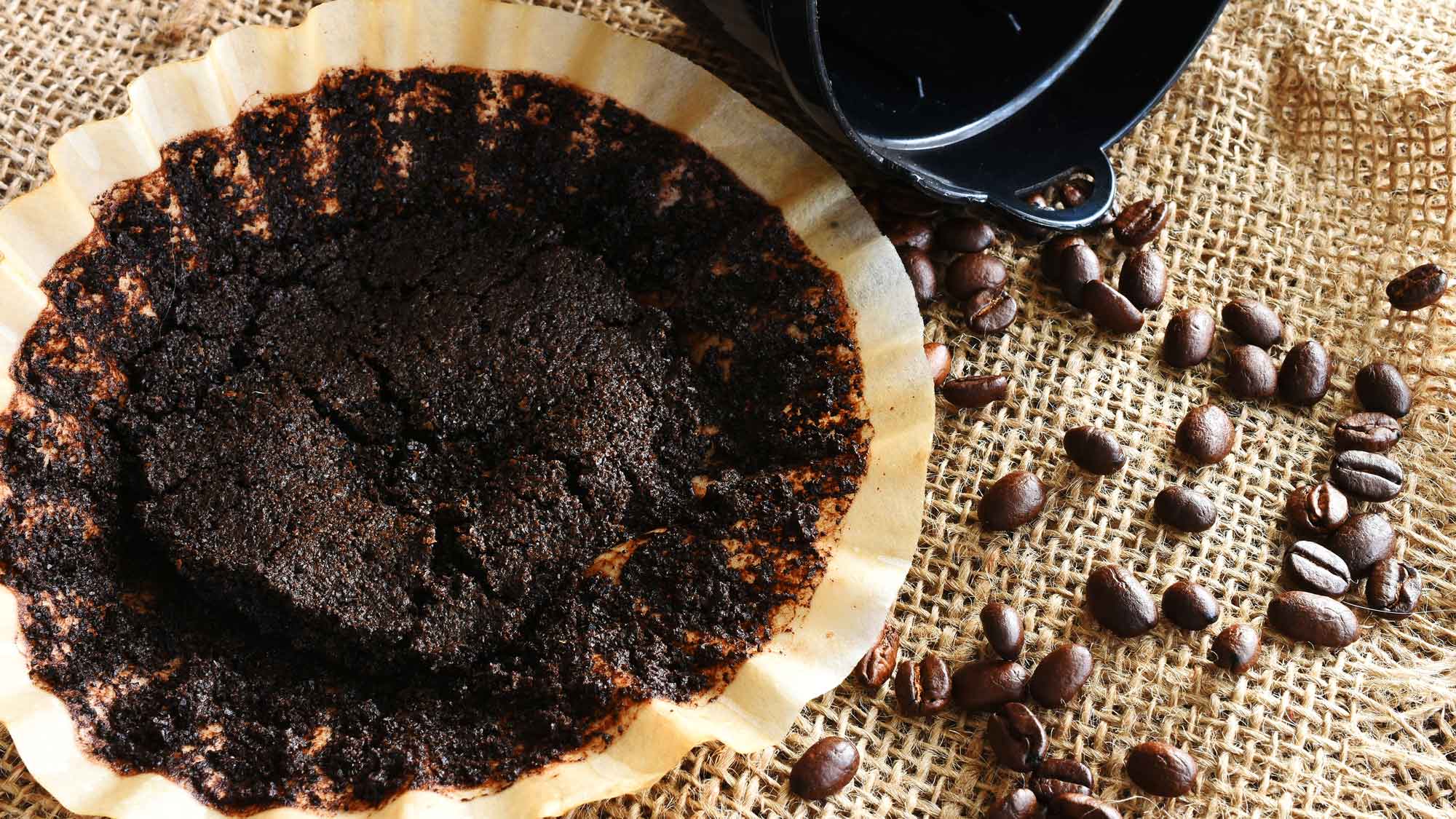 coffee grounds