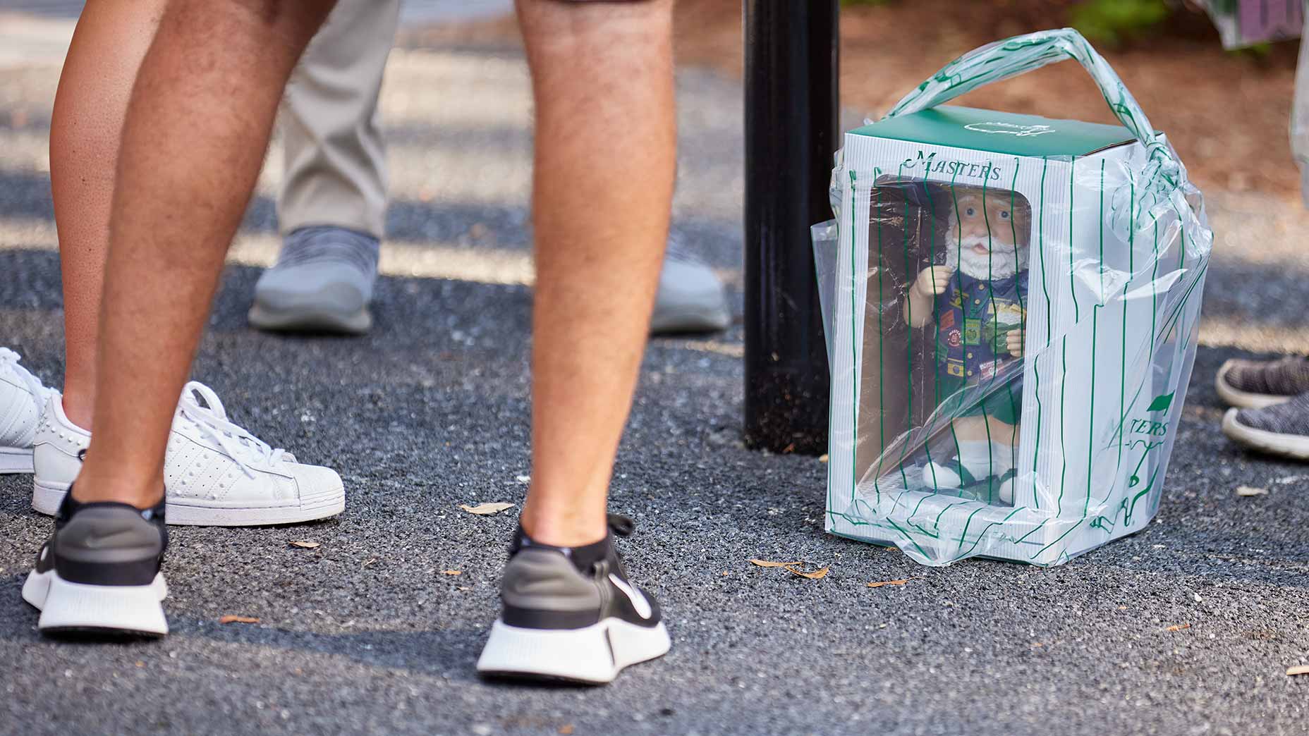 garden gnome masters