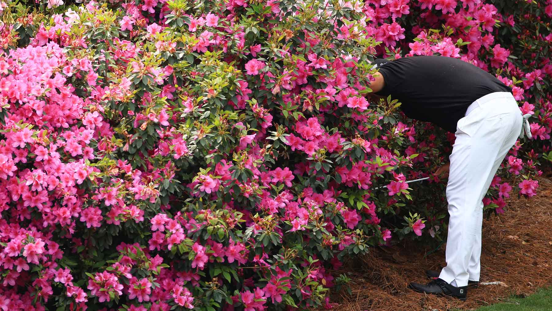 patrick reed at masters