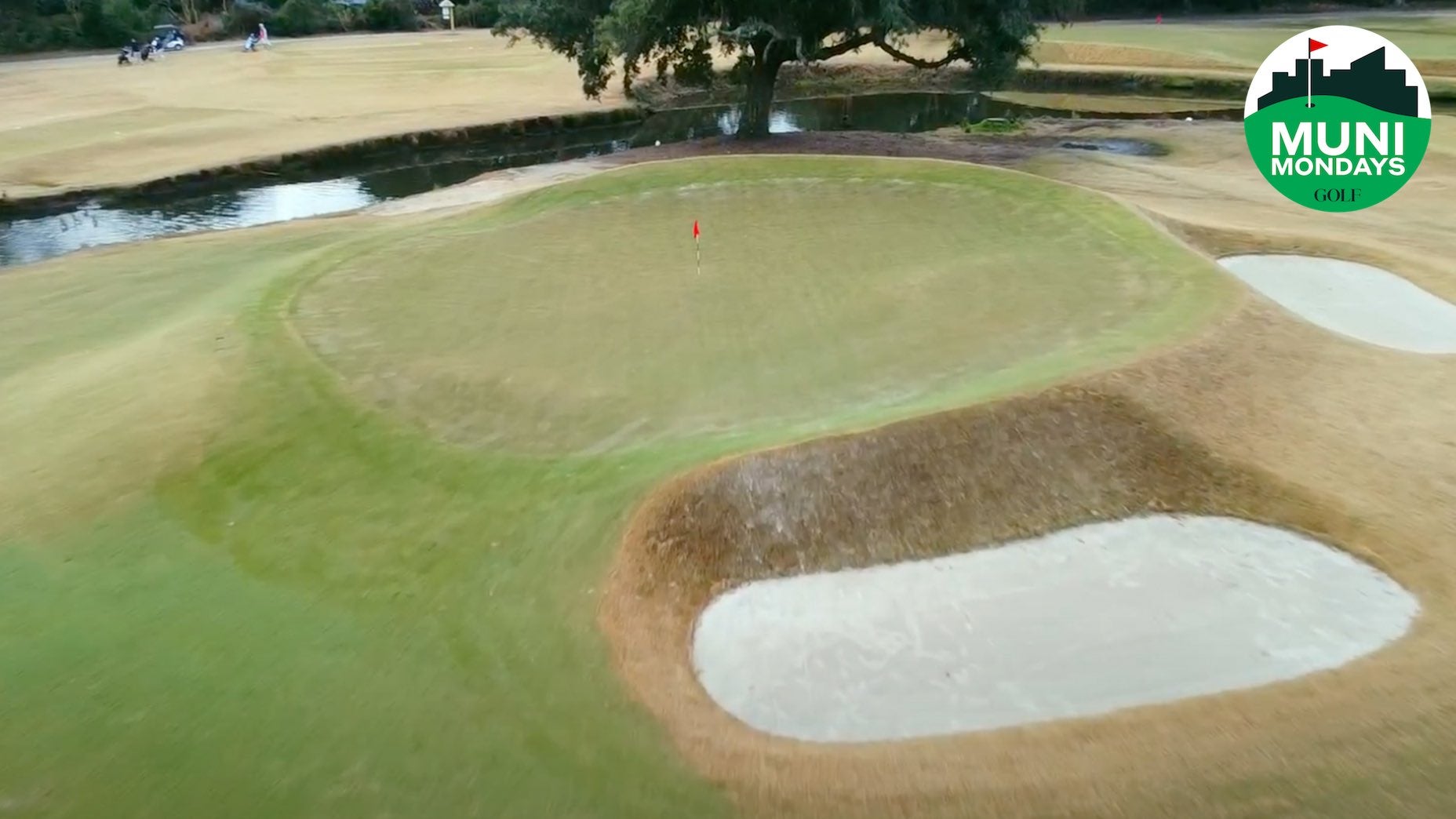 Charleston Muni is well worth the price of admission.