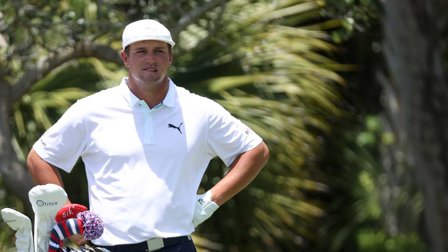 bryson dechambeau