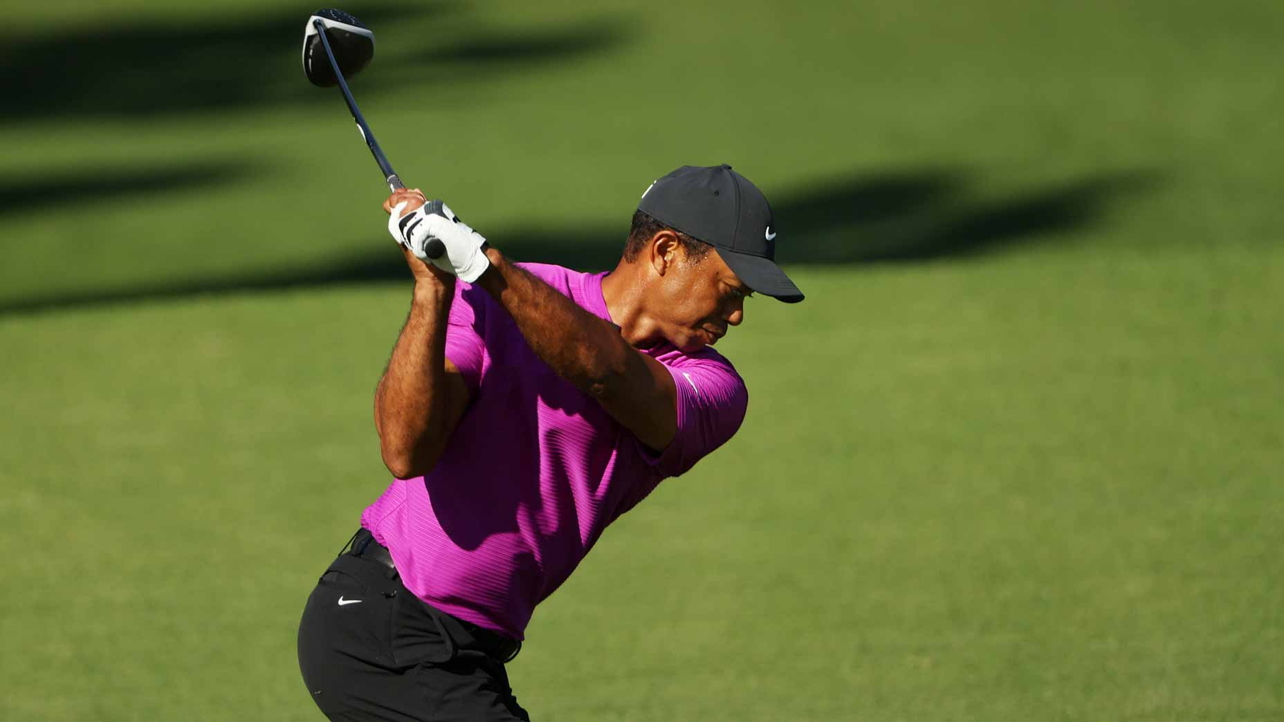 tiger woods swing