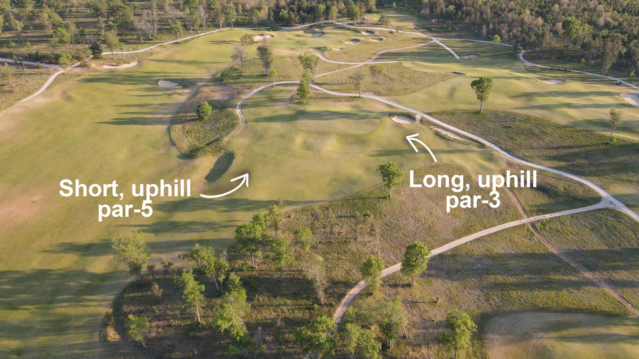 The Loop Forest Dunes