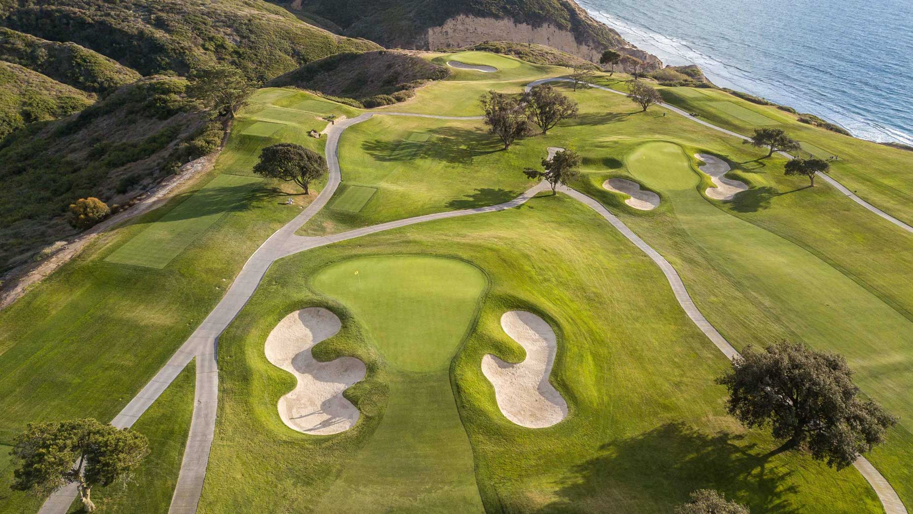 Torrey Pines