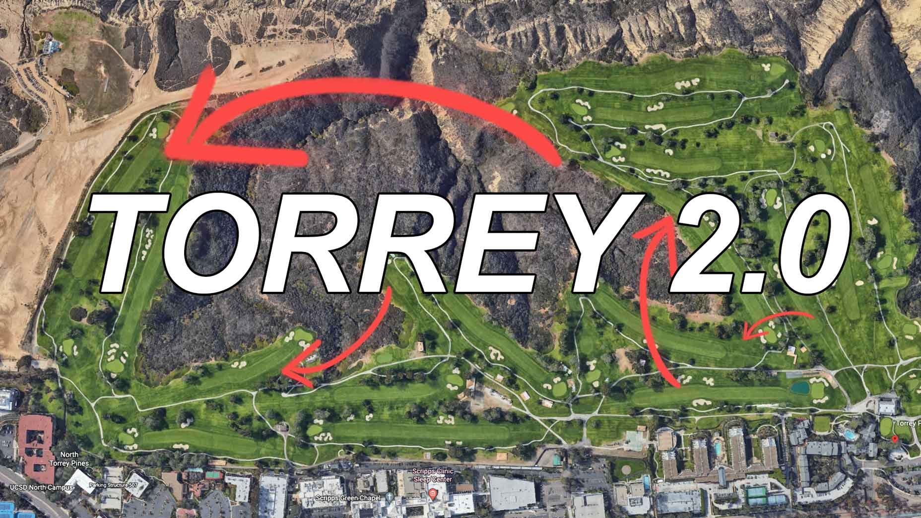torrey pines