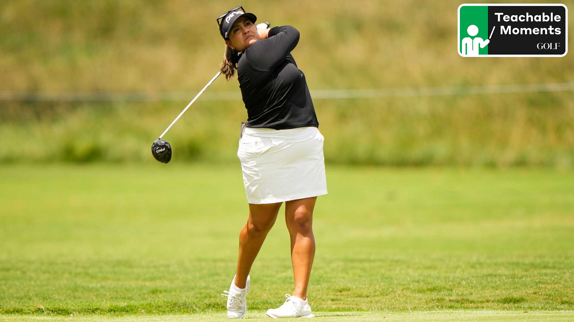 lizette salas swings