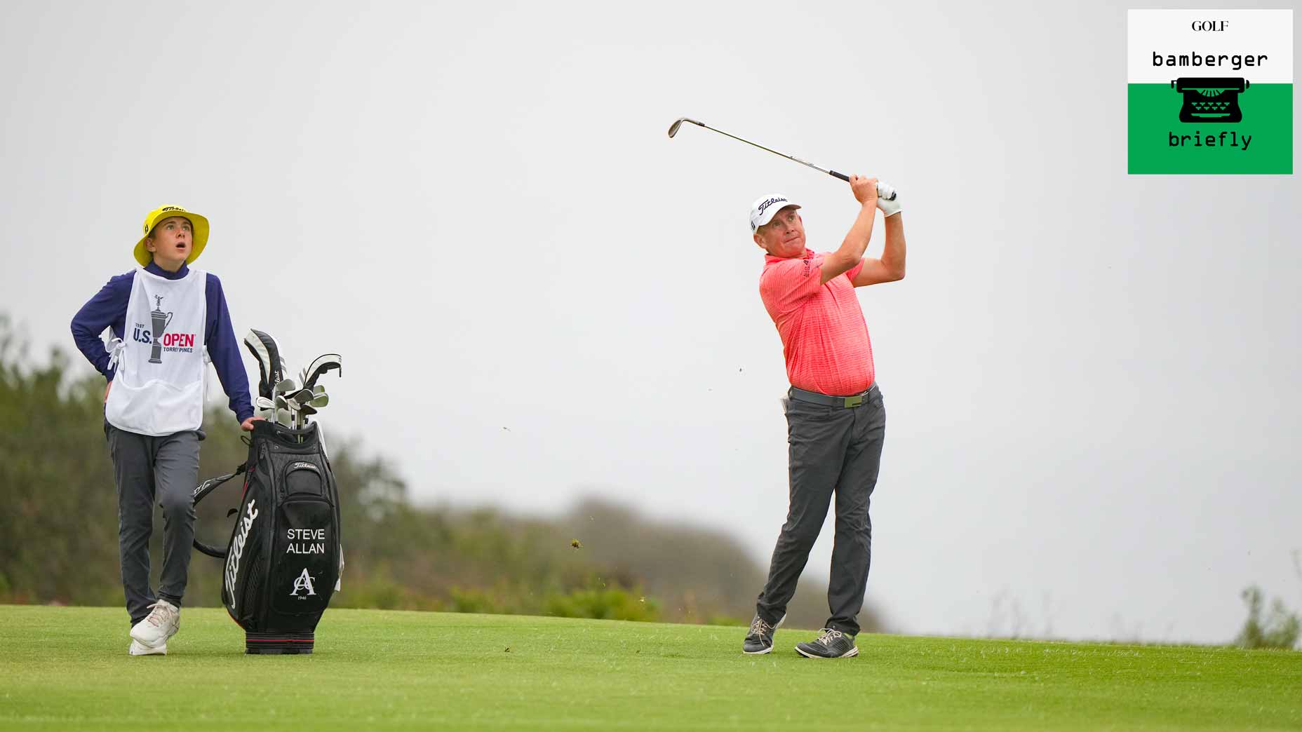 steve allan swings