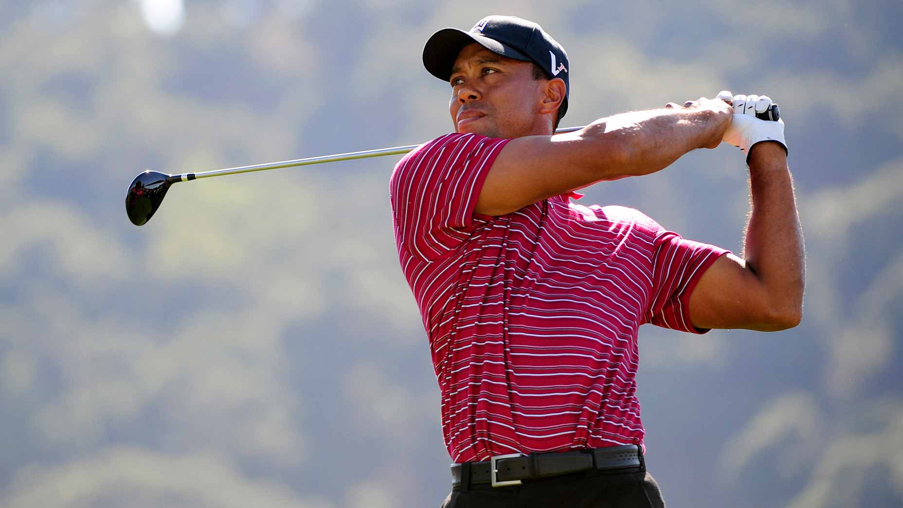 tiger woods swings