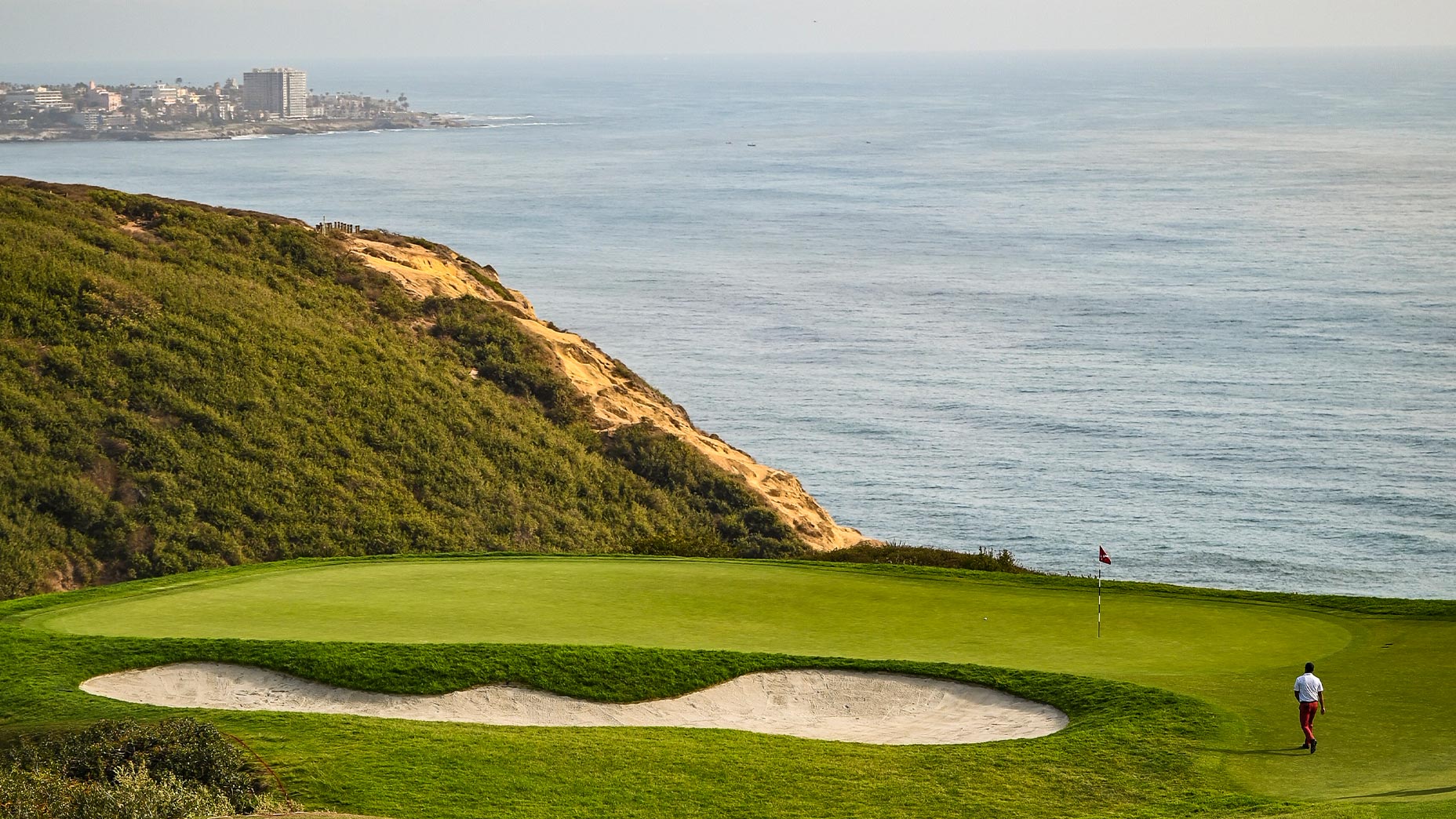 torrey pines scenic