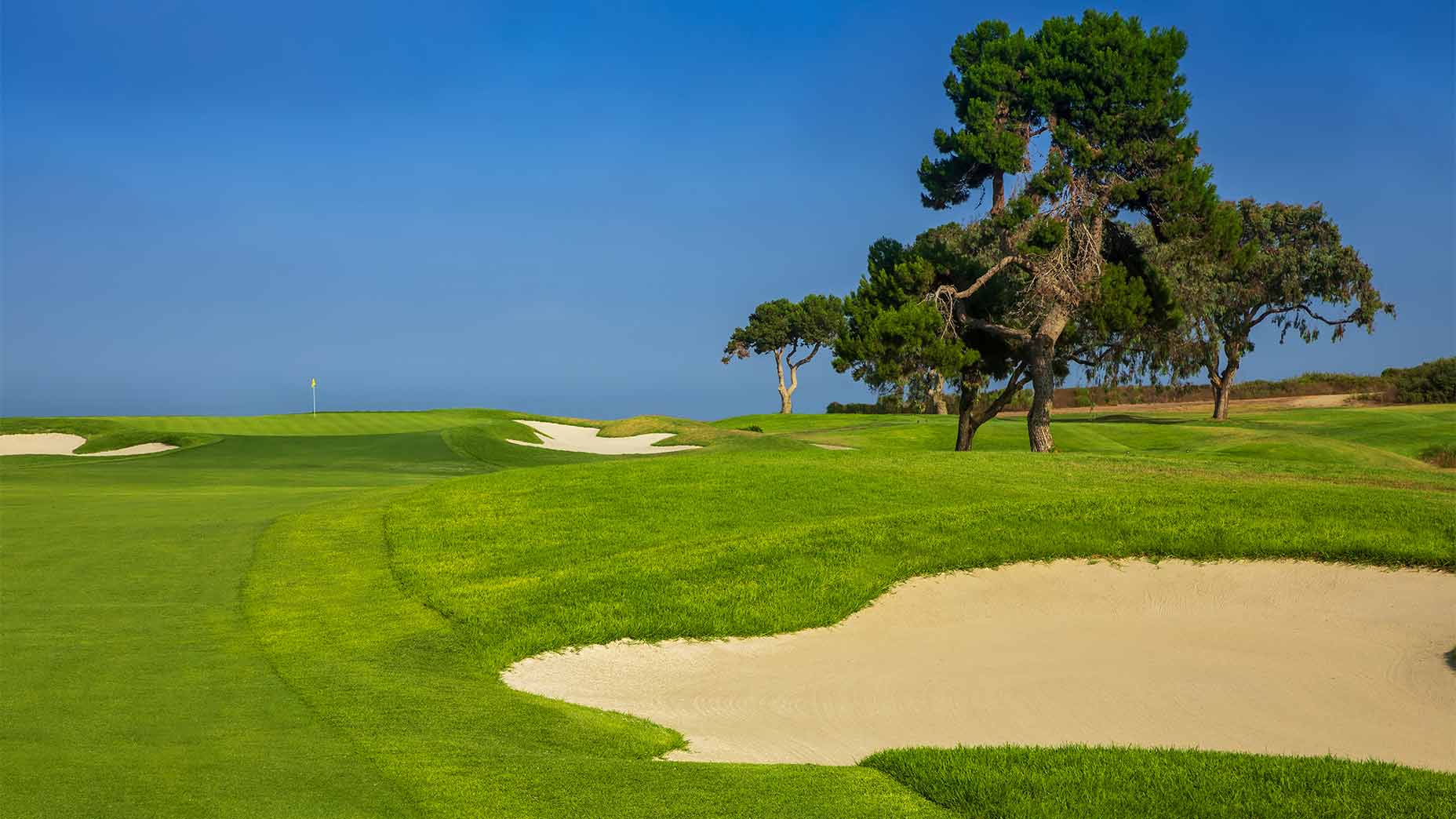the 12th hole at torrey pines