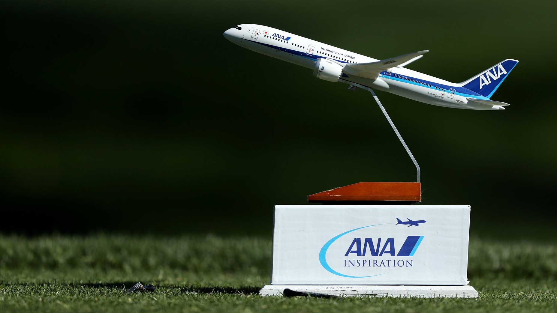 ana inspiration