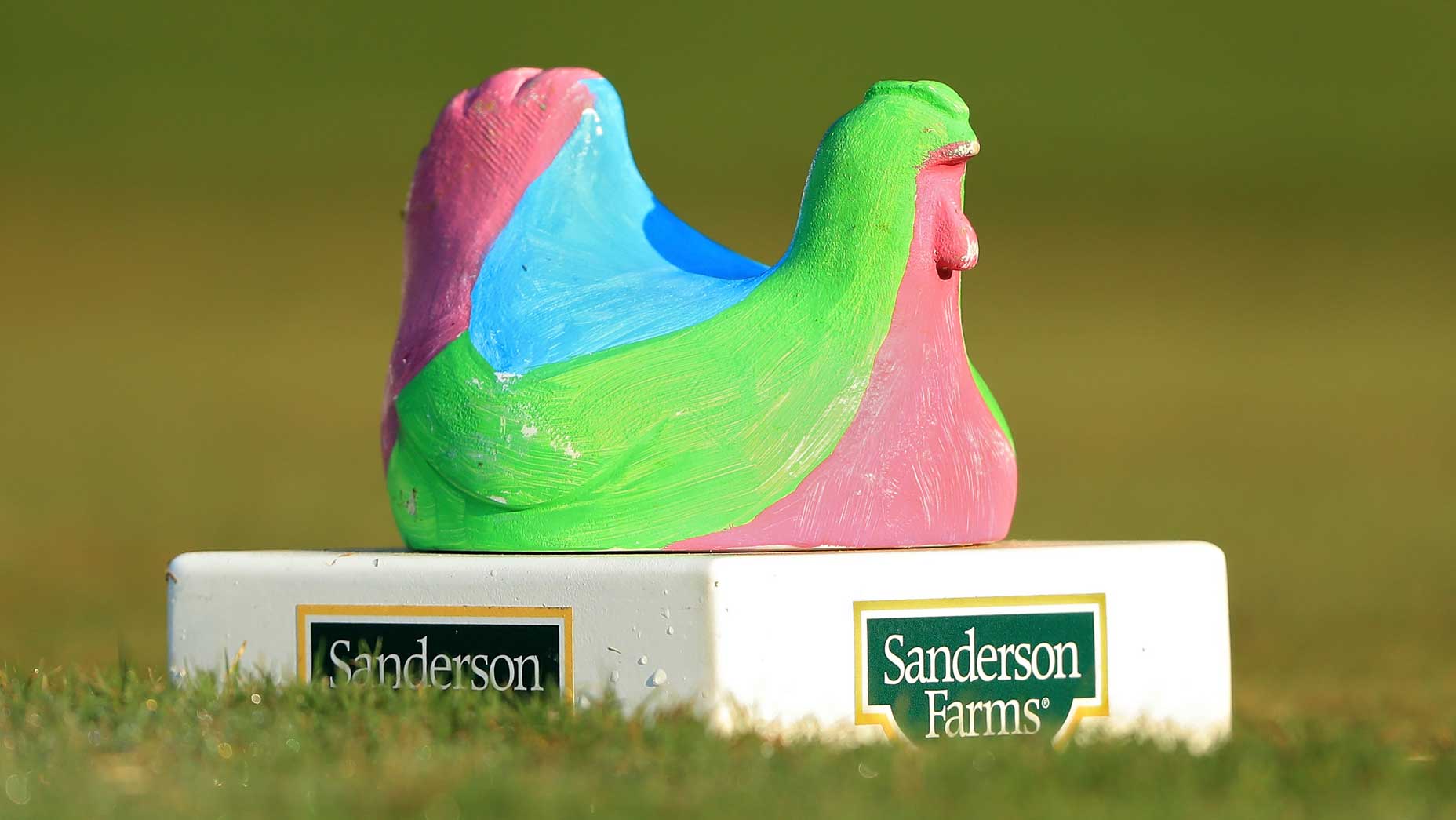 tee marker chicken