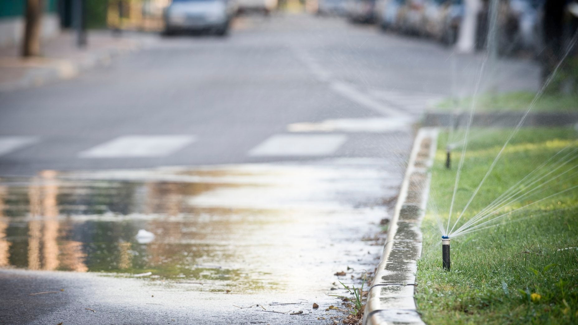 Make sure you're watering your grass — not your road.