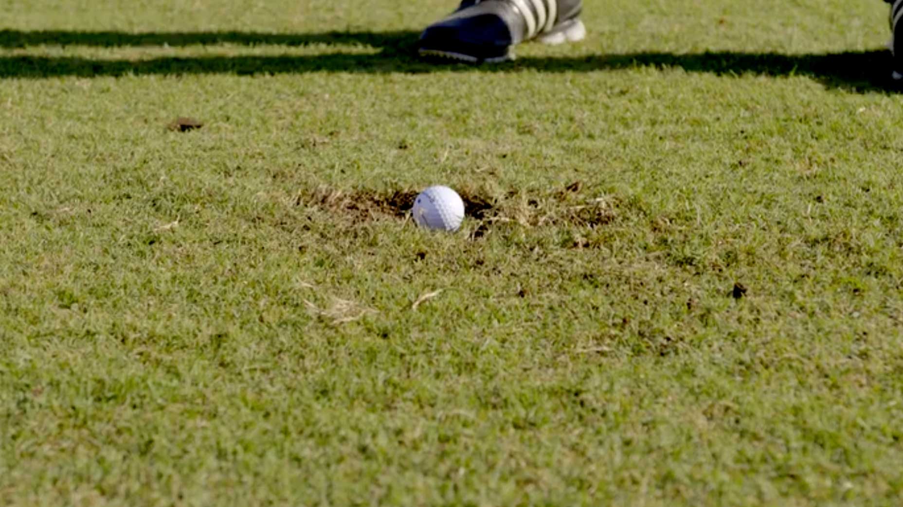 ball in divot