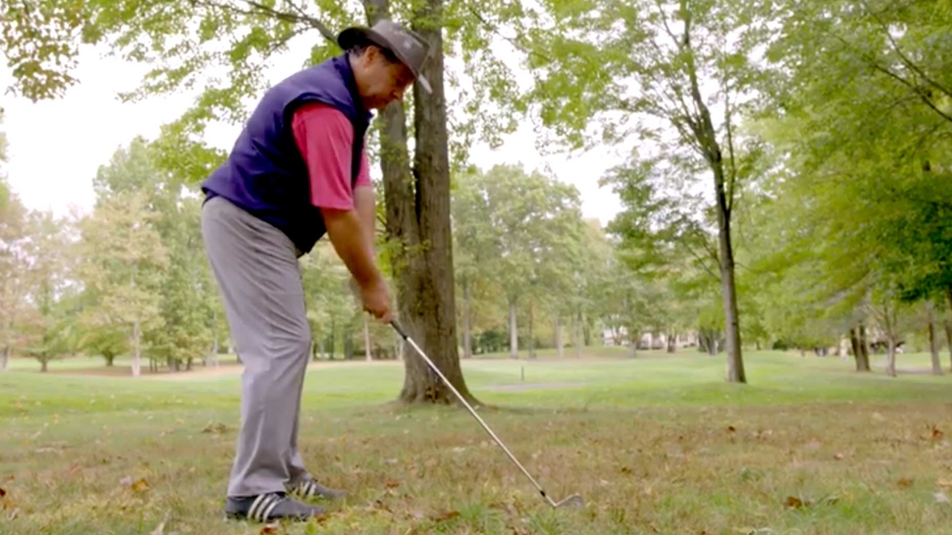 How to hit a punch shot: 5 keys for playing from under the trees