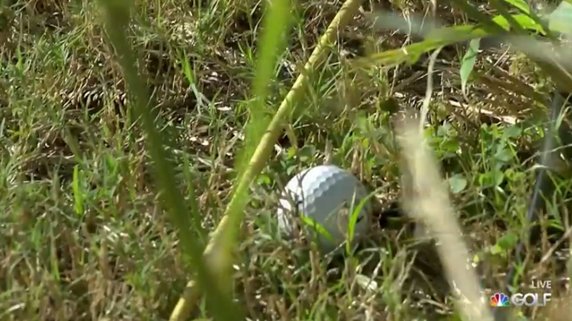 Danny Willett's ball was in line with part of the O.B. stakes — but not the correct part.