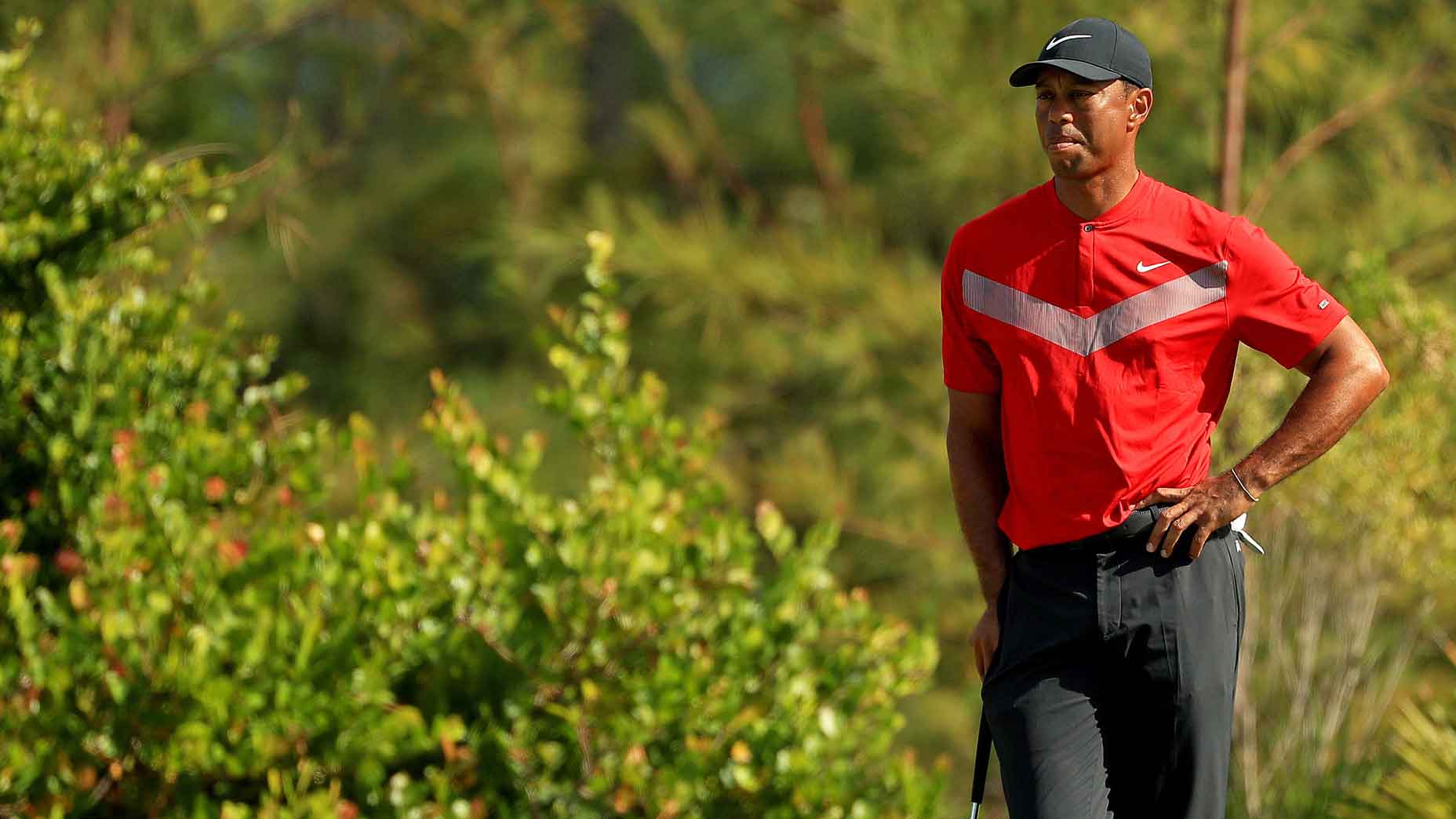 Tiger Woods’ tournament is this week. Here are 5 reasons why we might see Tiger.
