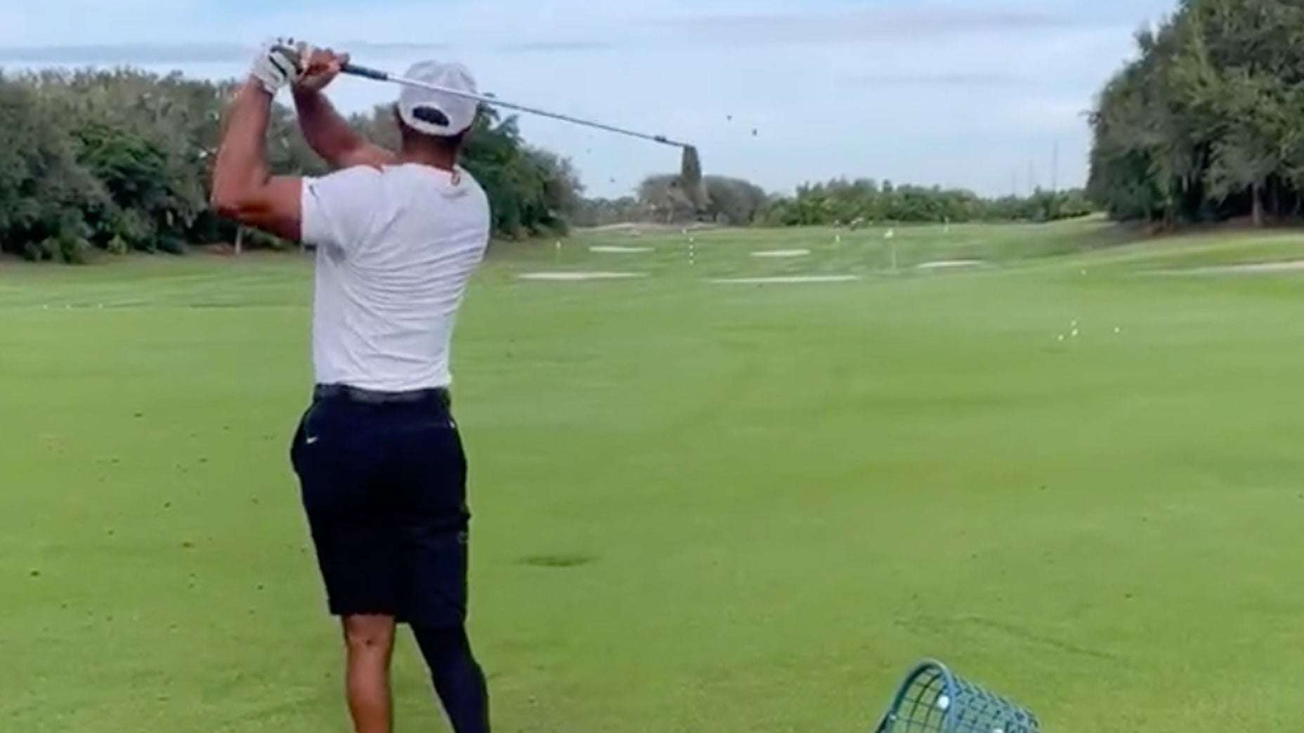 Tiger Woods