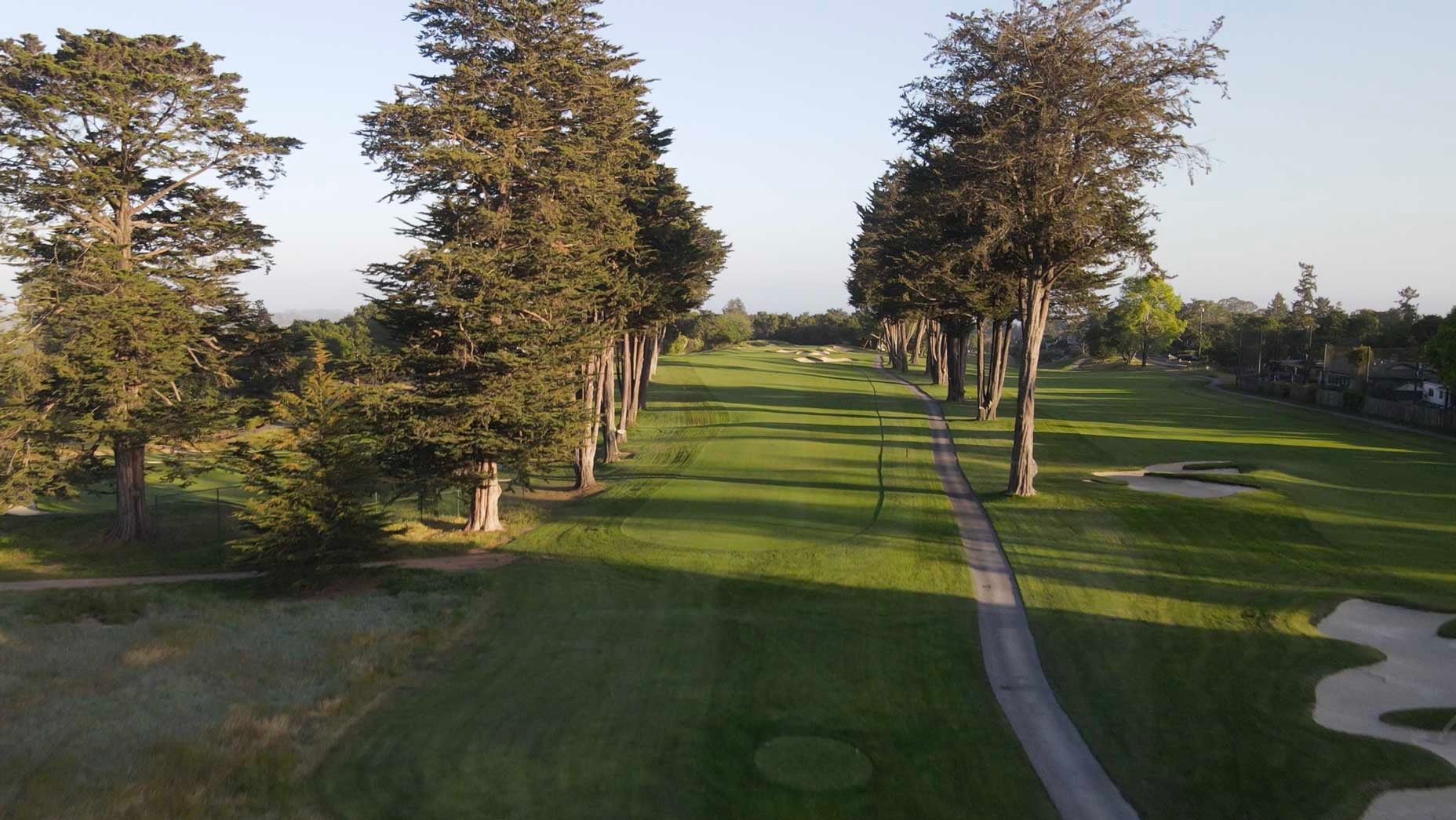 Pasatiempo No. 7