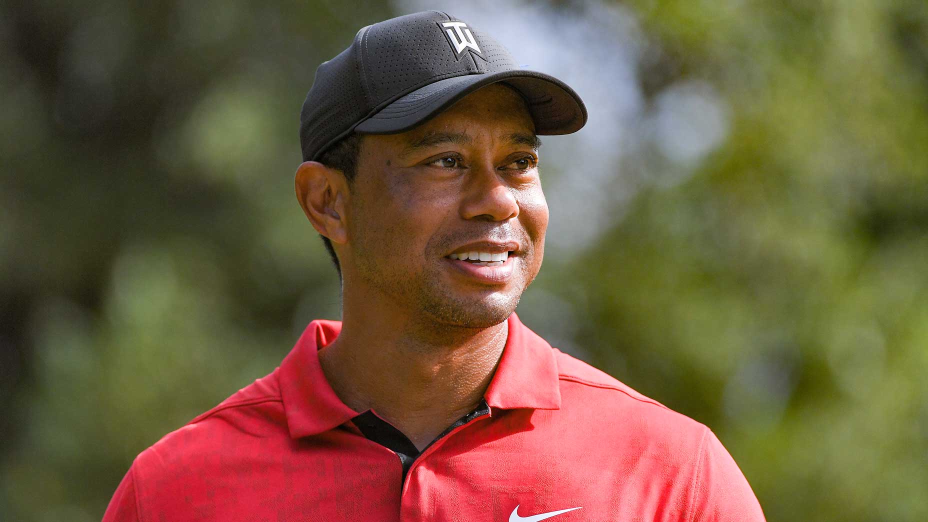 tiger woods