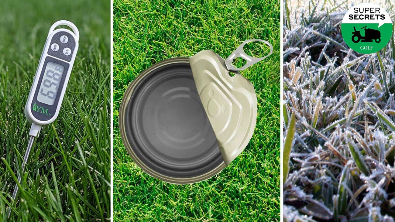 best lawn-care tips 2021