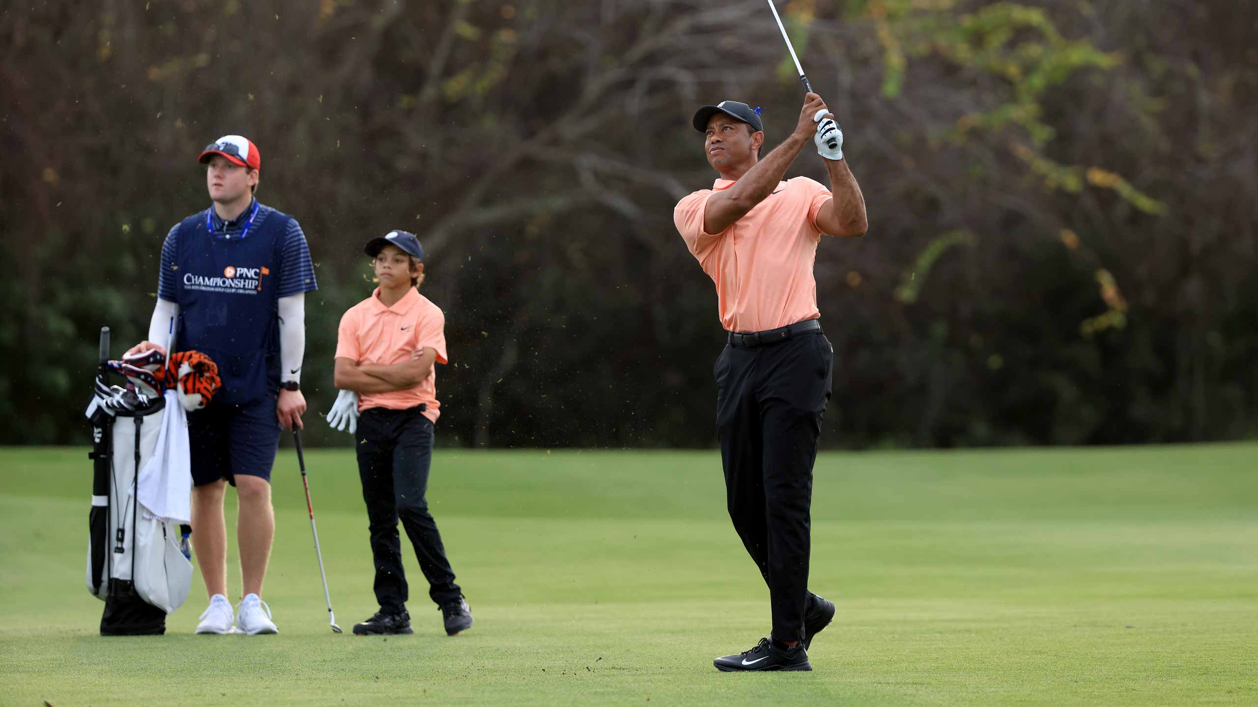 tiger woods swings