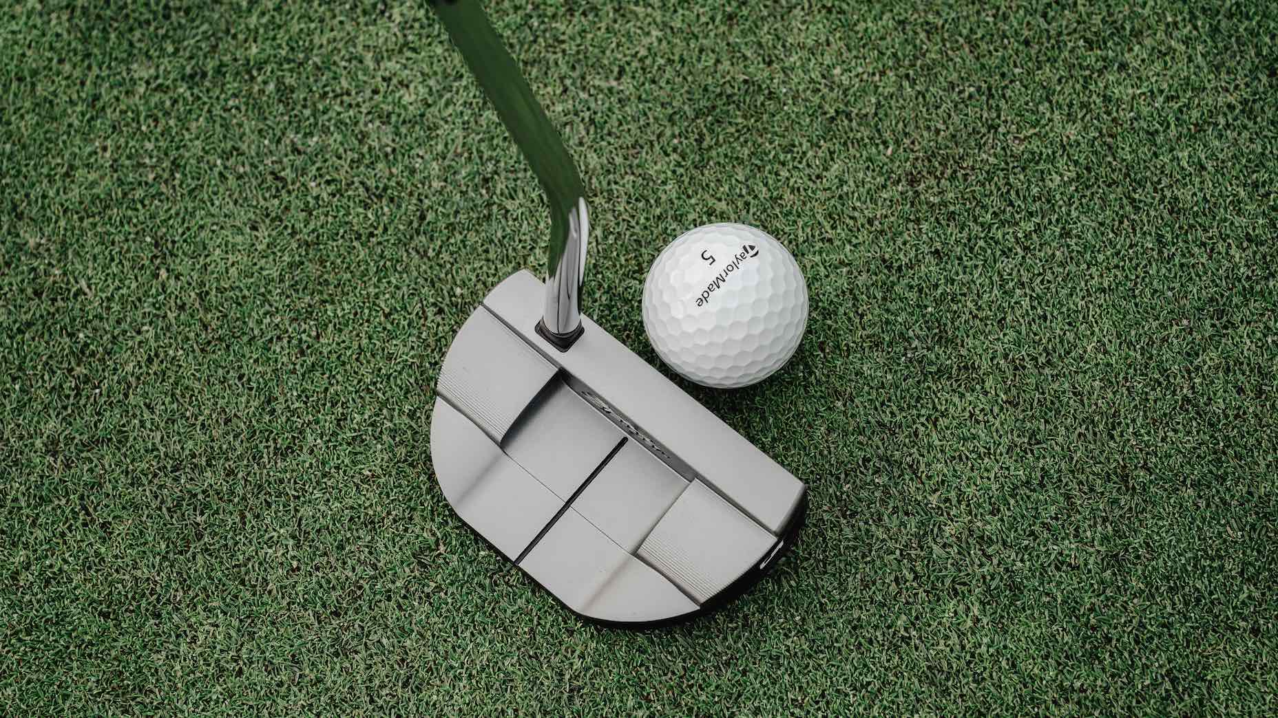 taylormade spider notchback