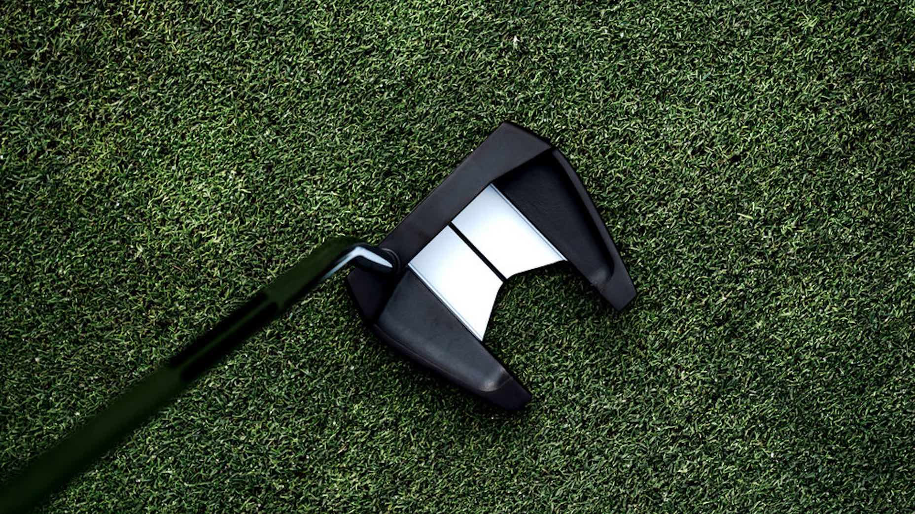 taylormade spider splitback