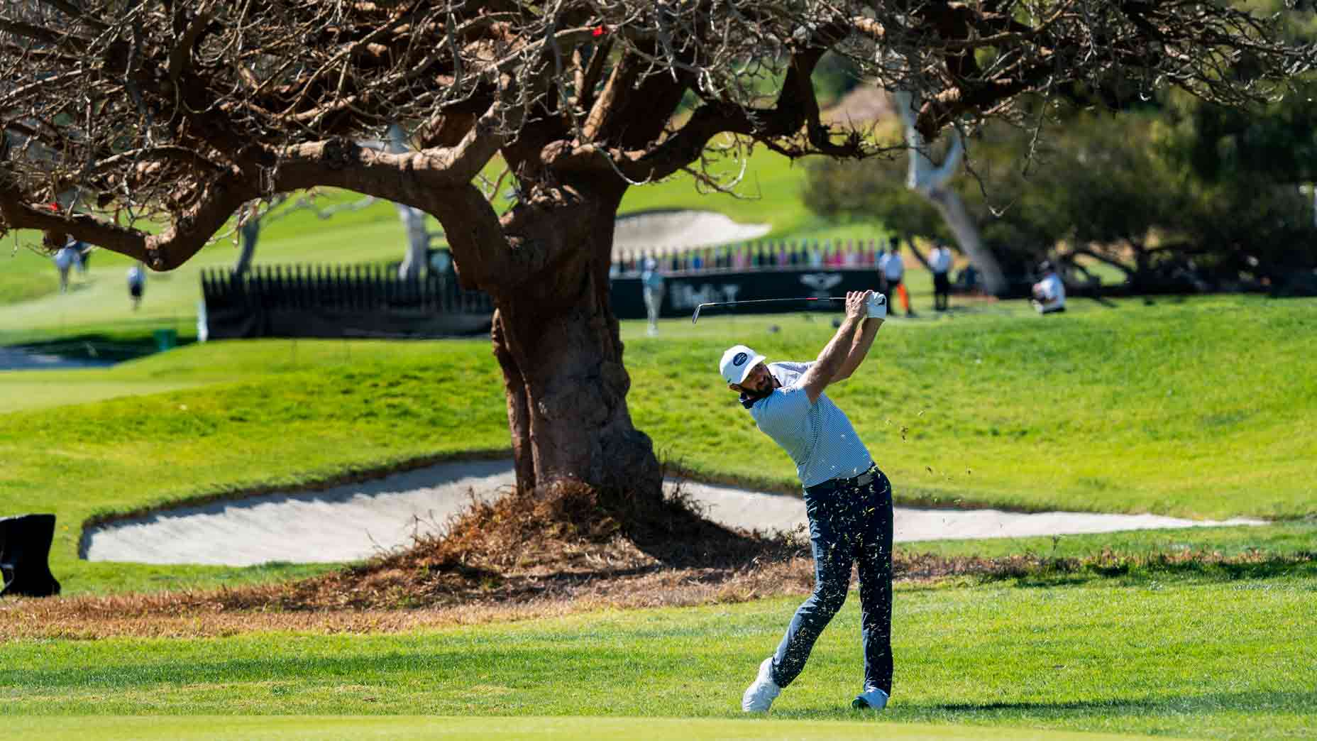 Dustin Johnson Genesis