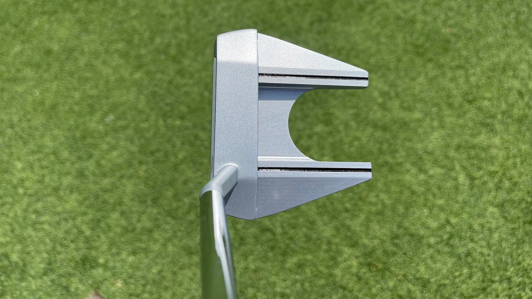 odyssey white hot #7 rahm