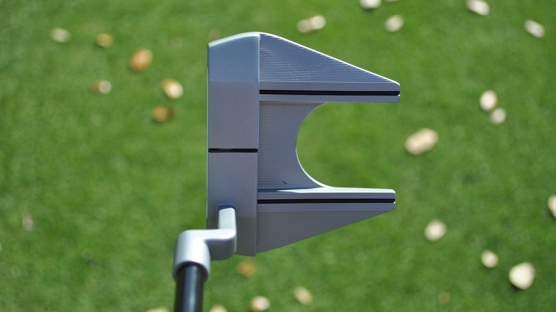 xander schauffele odyssey putter