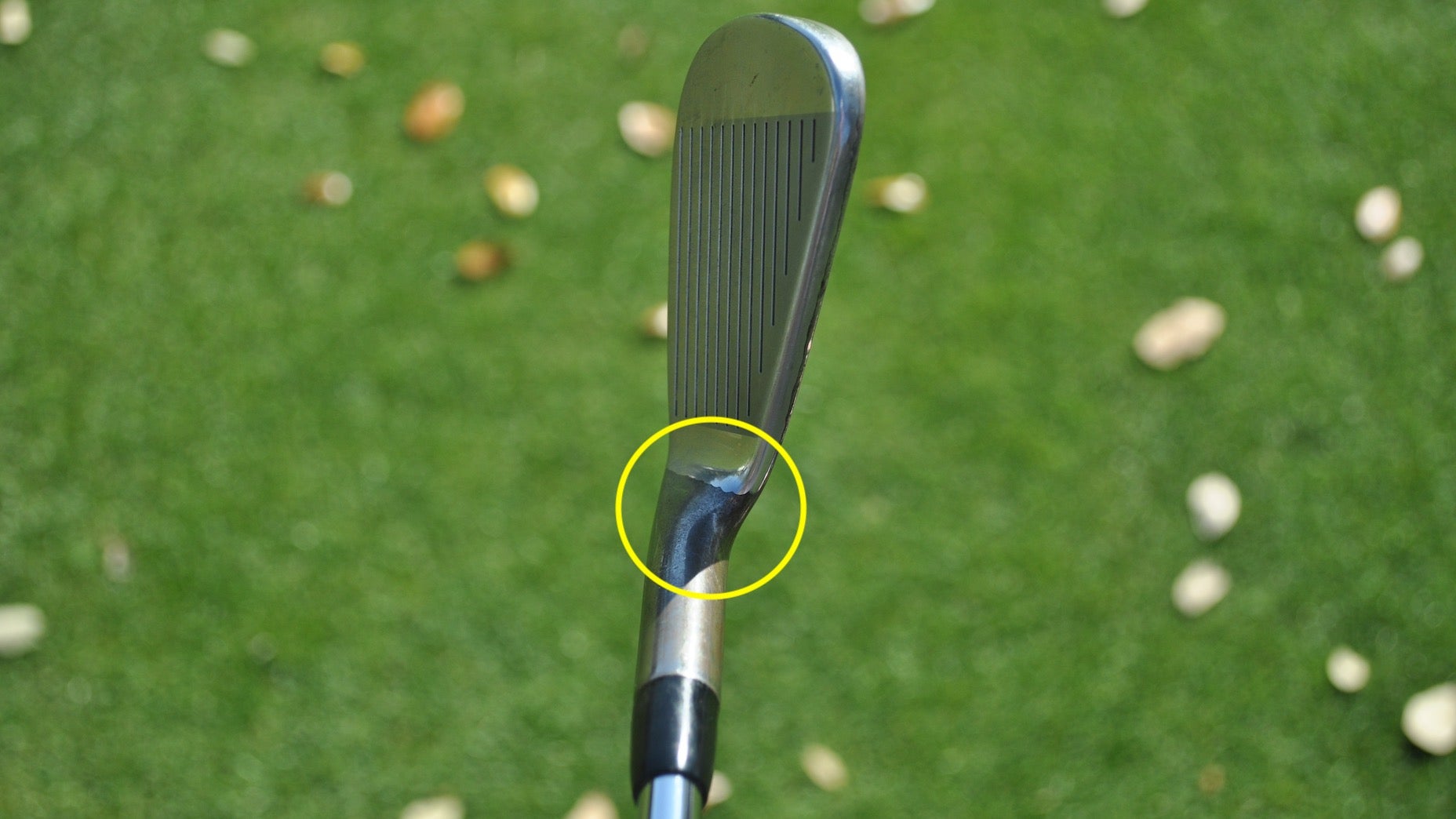 xander schauffele callaway apex tcb irons