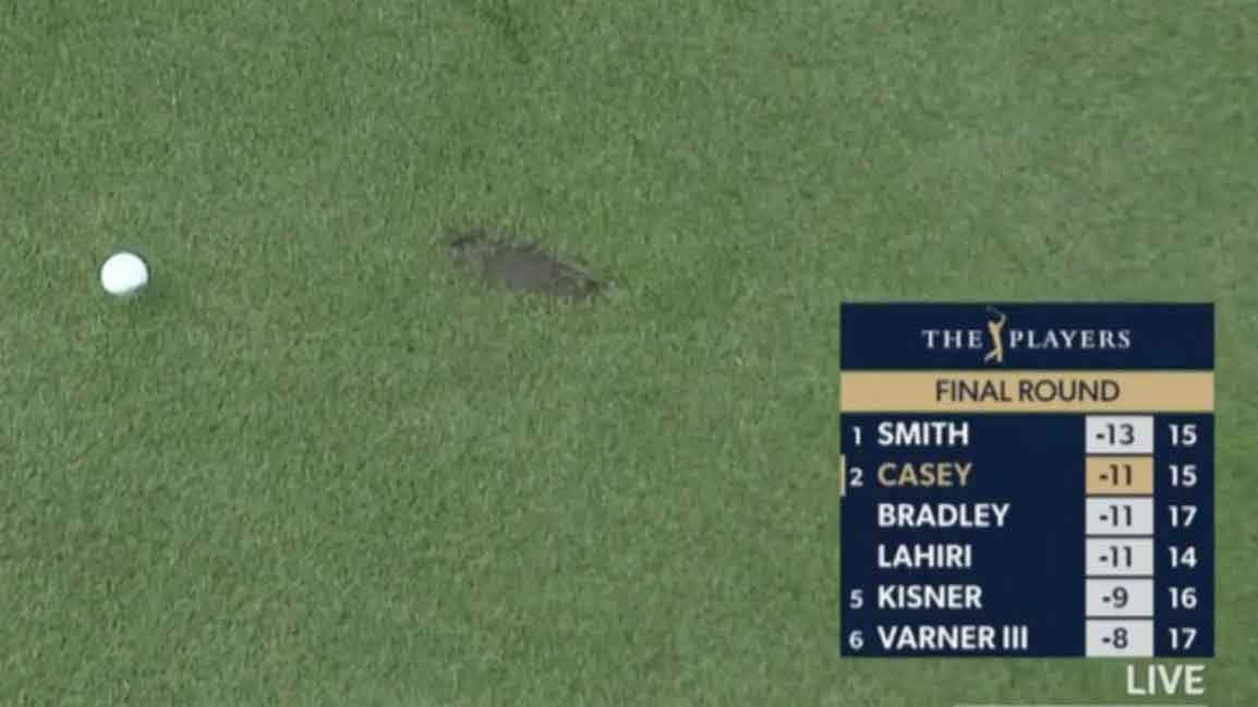 paul casey's ball