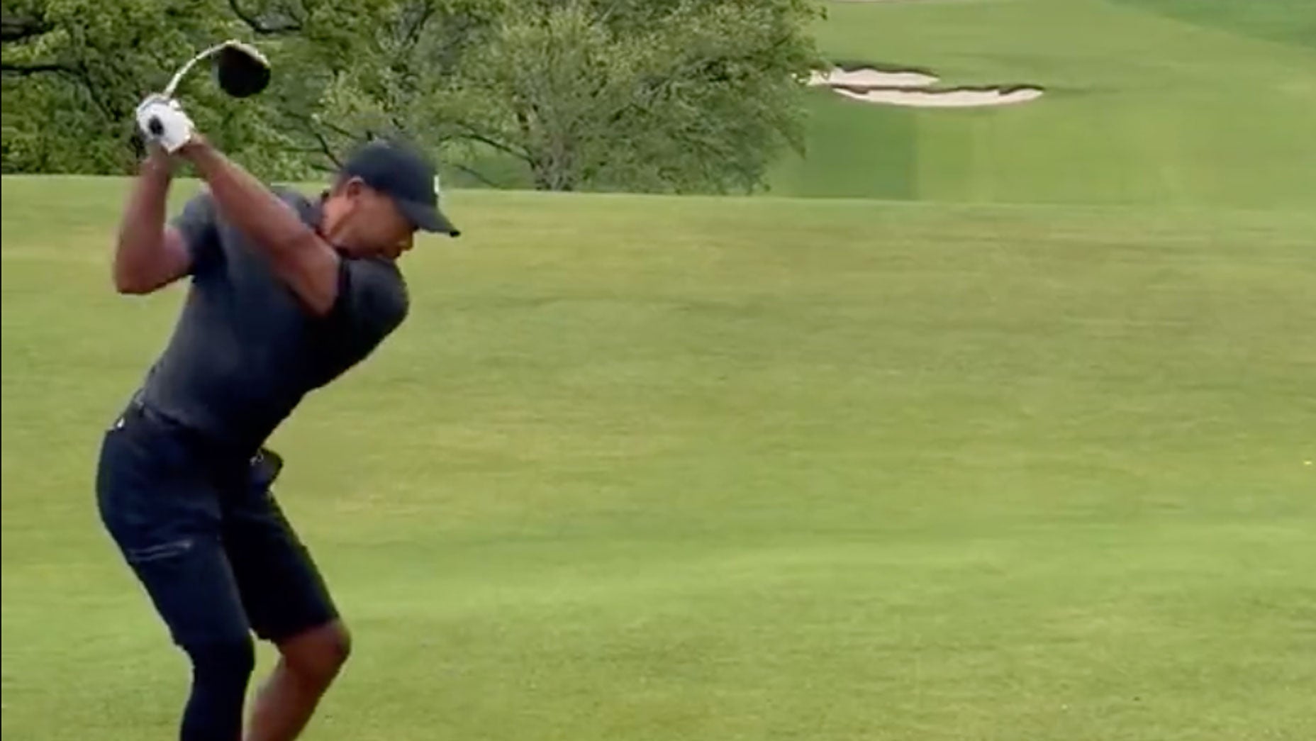 Tiger Woods